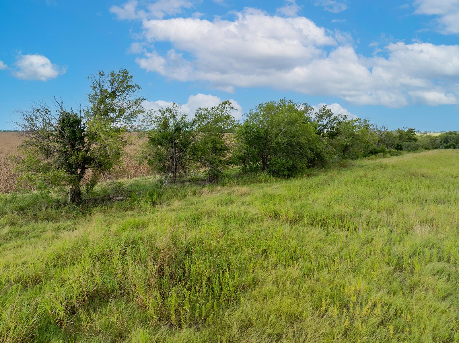 5275 CR 424 Rd, Thrall, TX 76578
