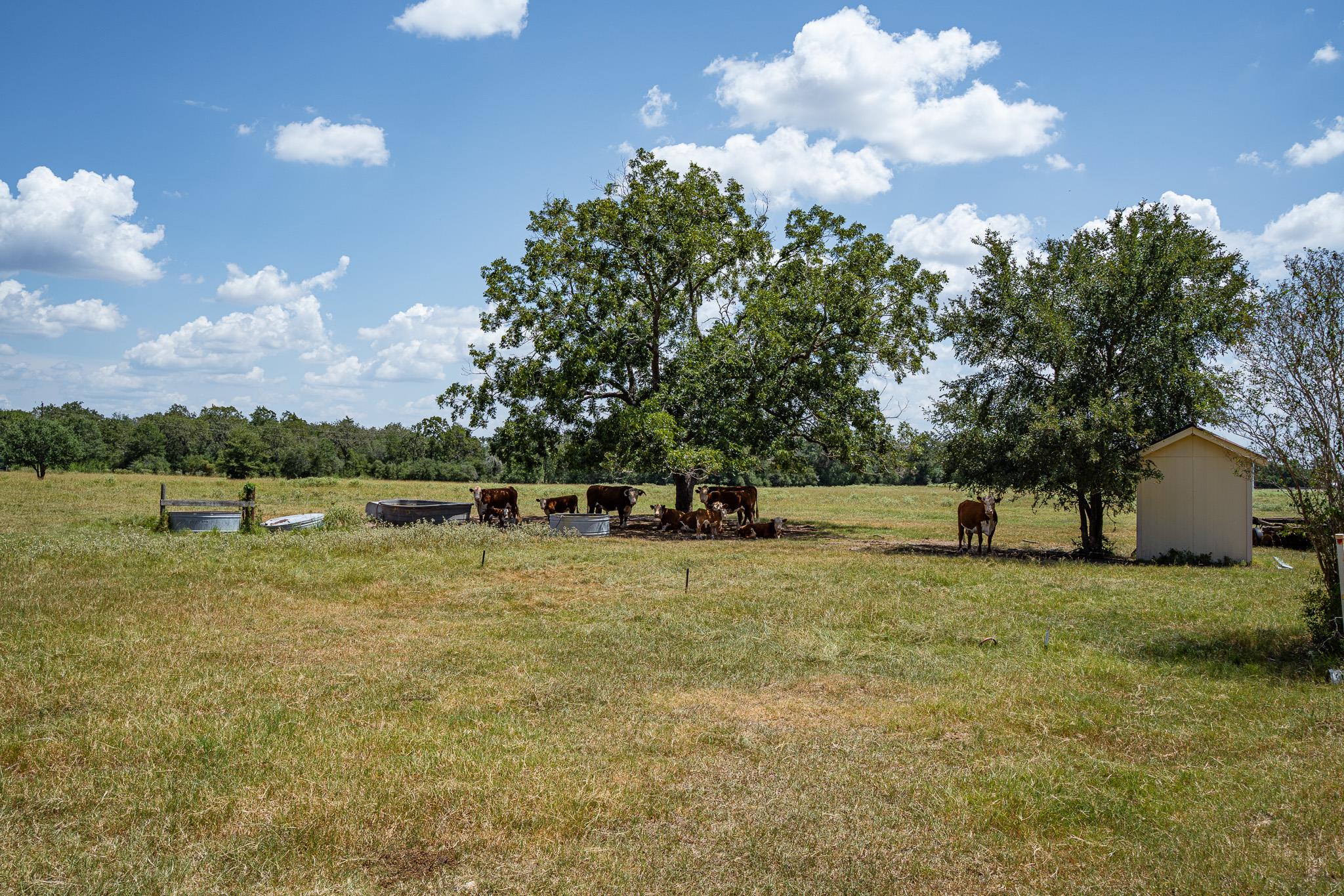 2210 Hermis Rd, Schulenburg, TX 78956