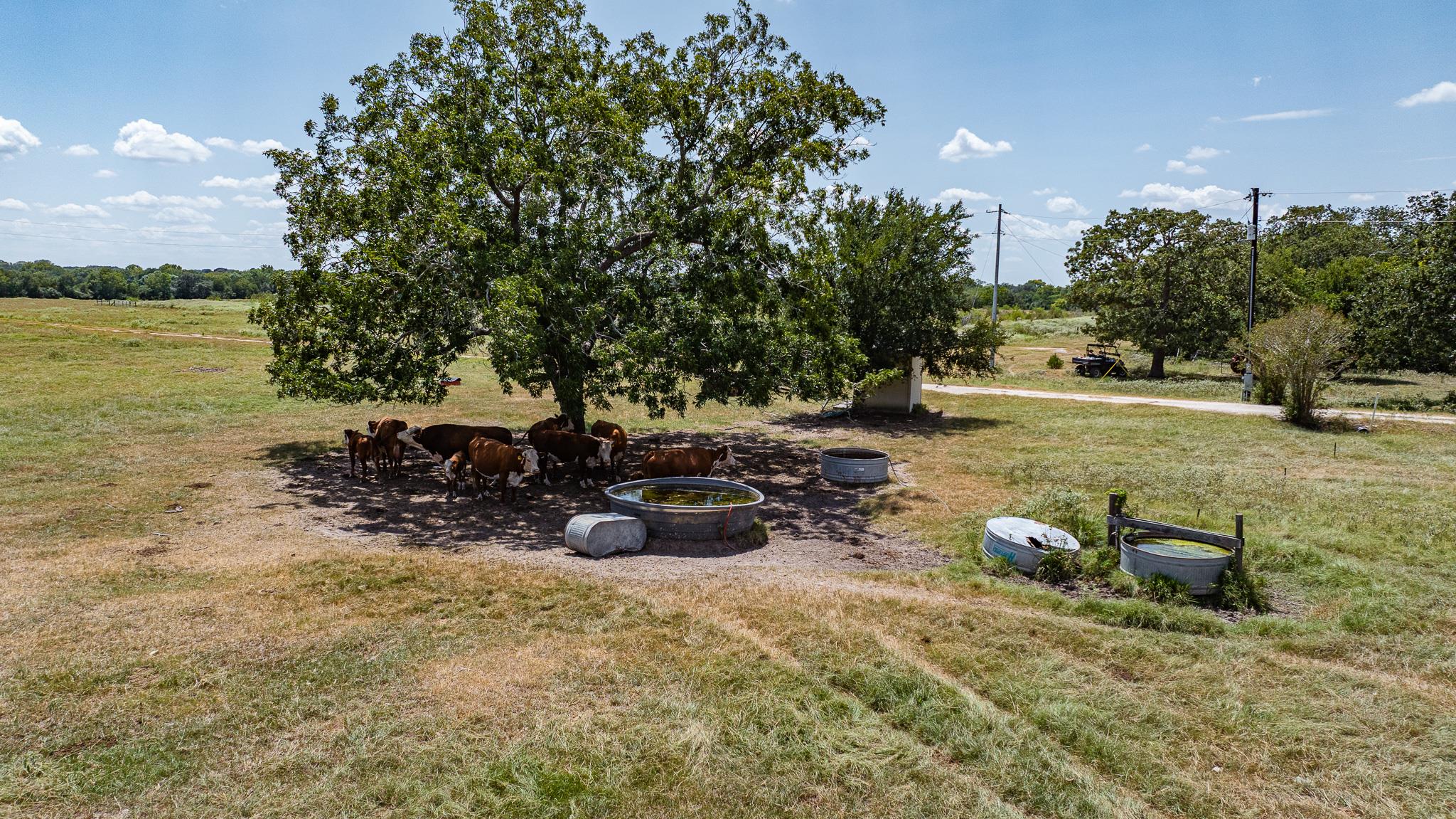 2210 Hermis Rd, Schulenburg, TX 78956