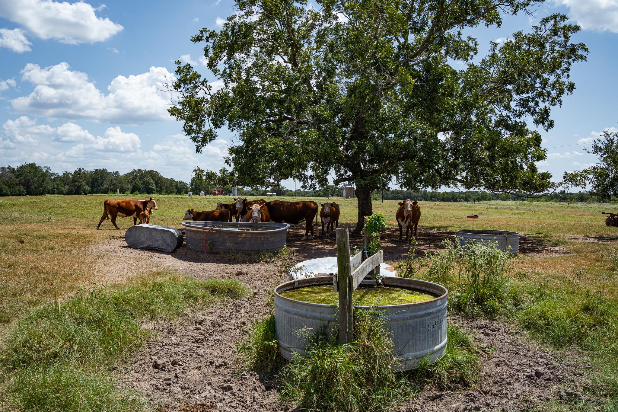 2210 Hermis Rd, Schulenburg, TX 78956