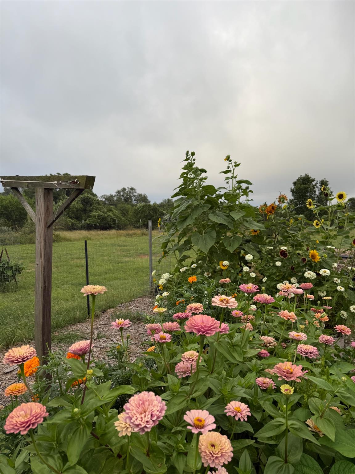 2425 Oak Valley Dr, New Braunfels, TX 78132