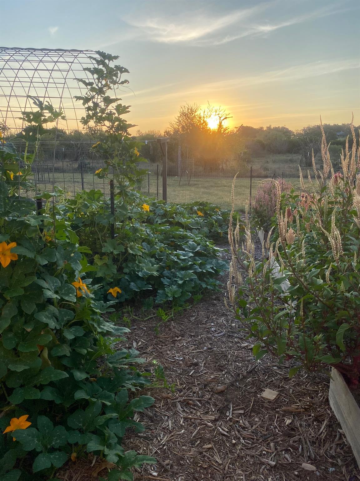 2425 Oak Valley Dr, New Braunfels, TX 78132