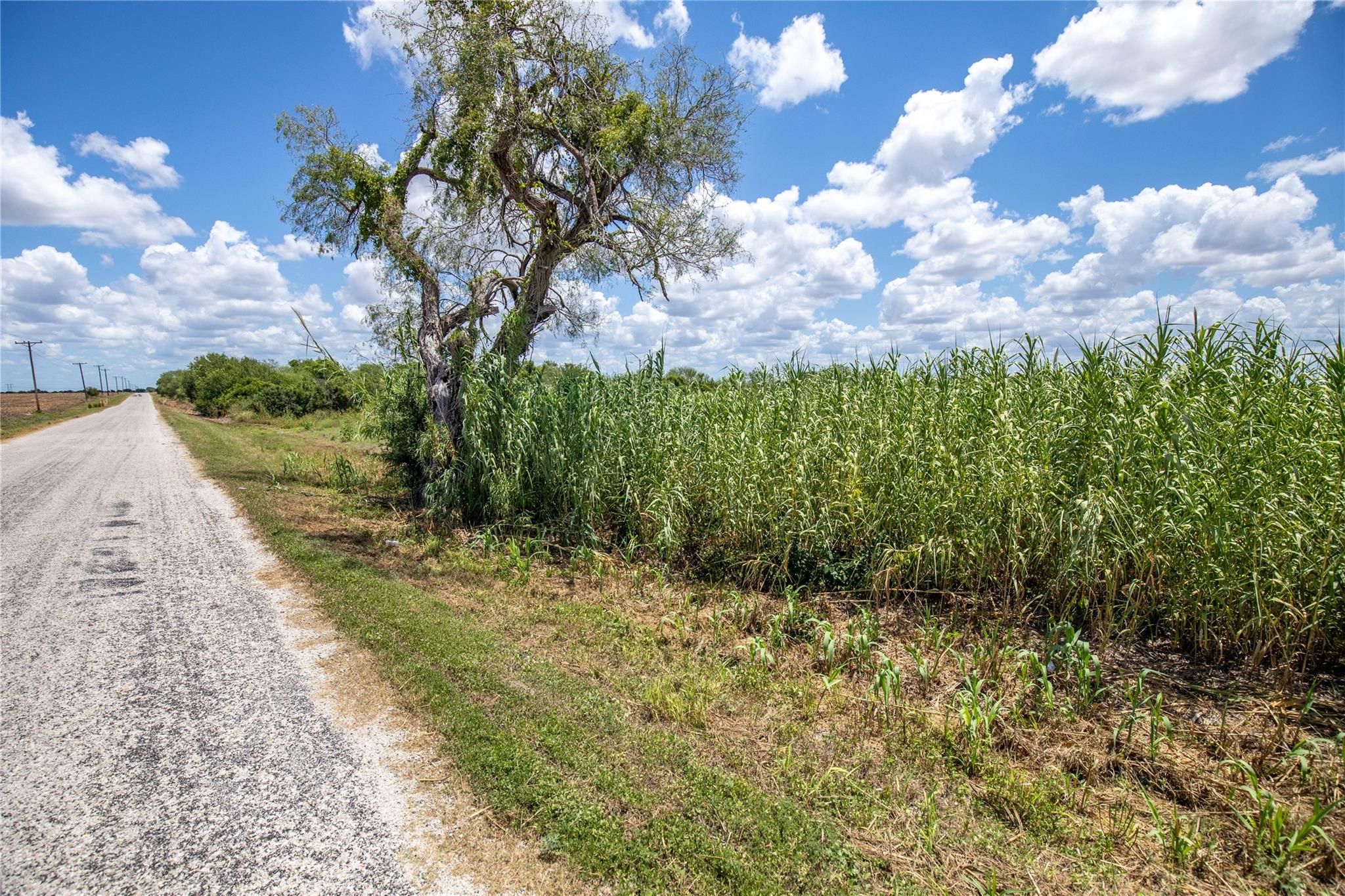 000 County Road 647, Mathis, TX 78368