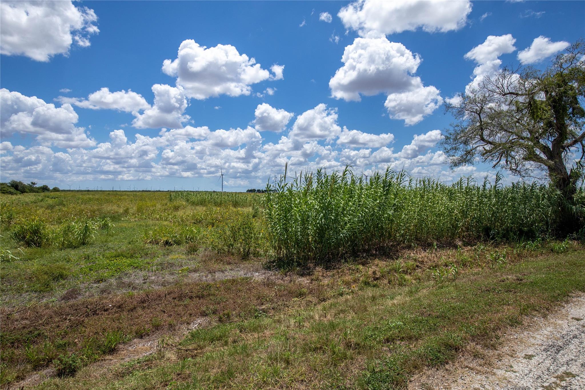 000 County Road 647, Mathis, TX 78368