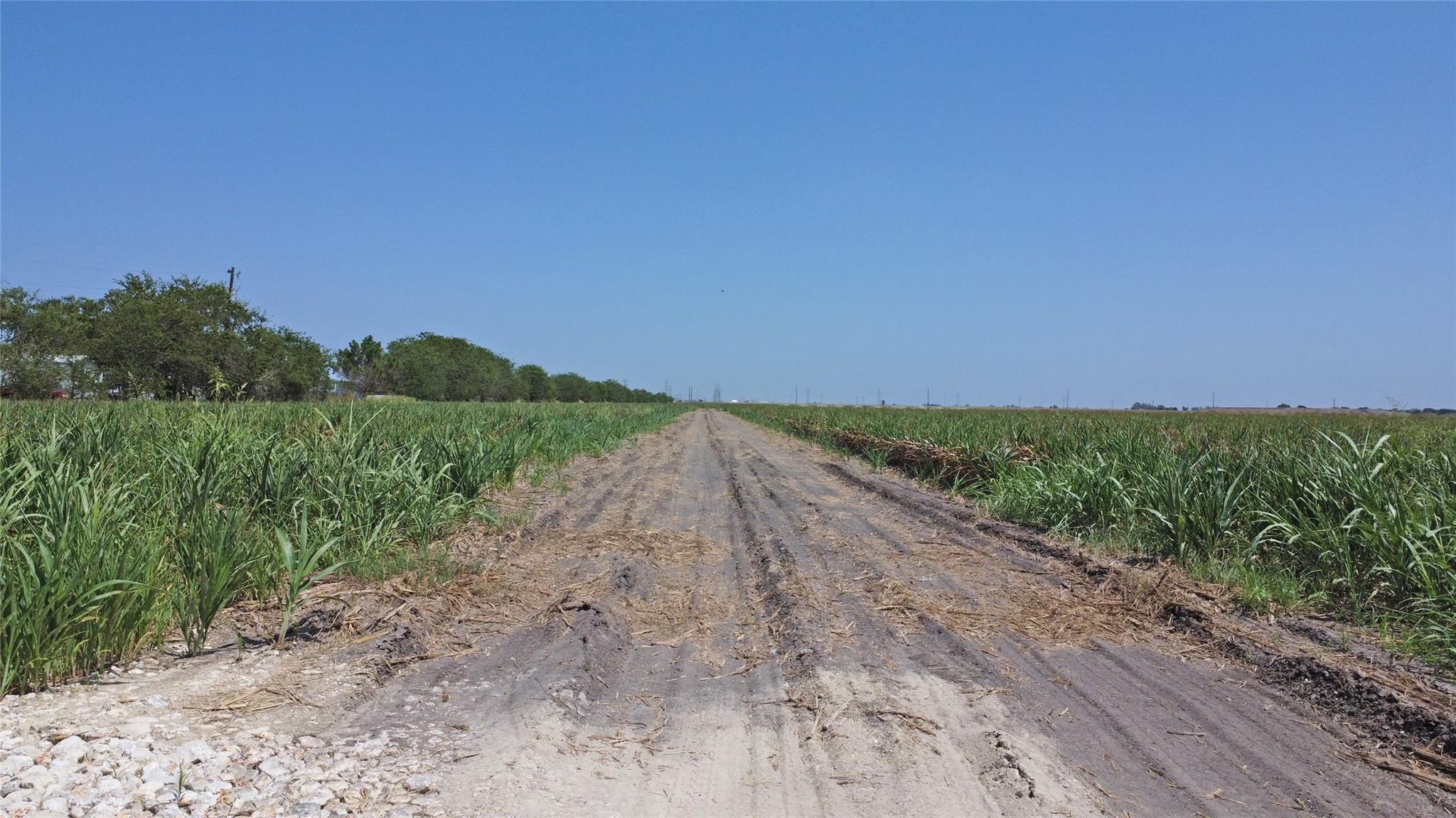 0 Cordova Rd, Seguin, TX 78155