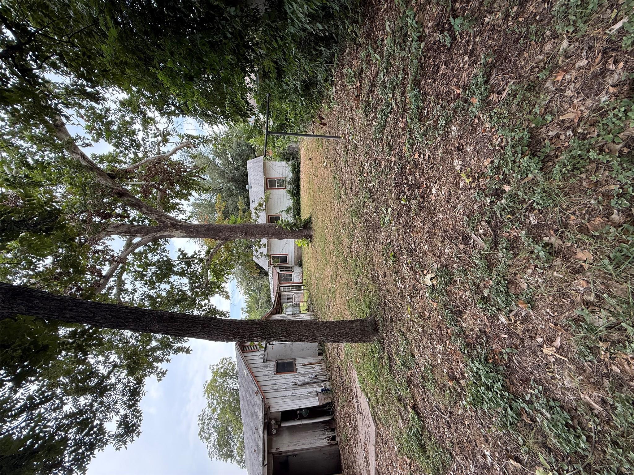 1115 Kirk Ave, Austin, TX 78702