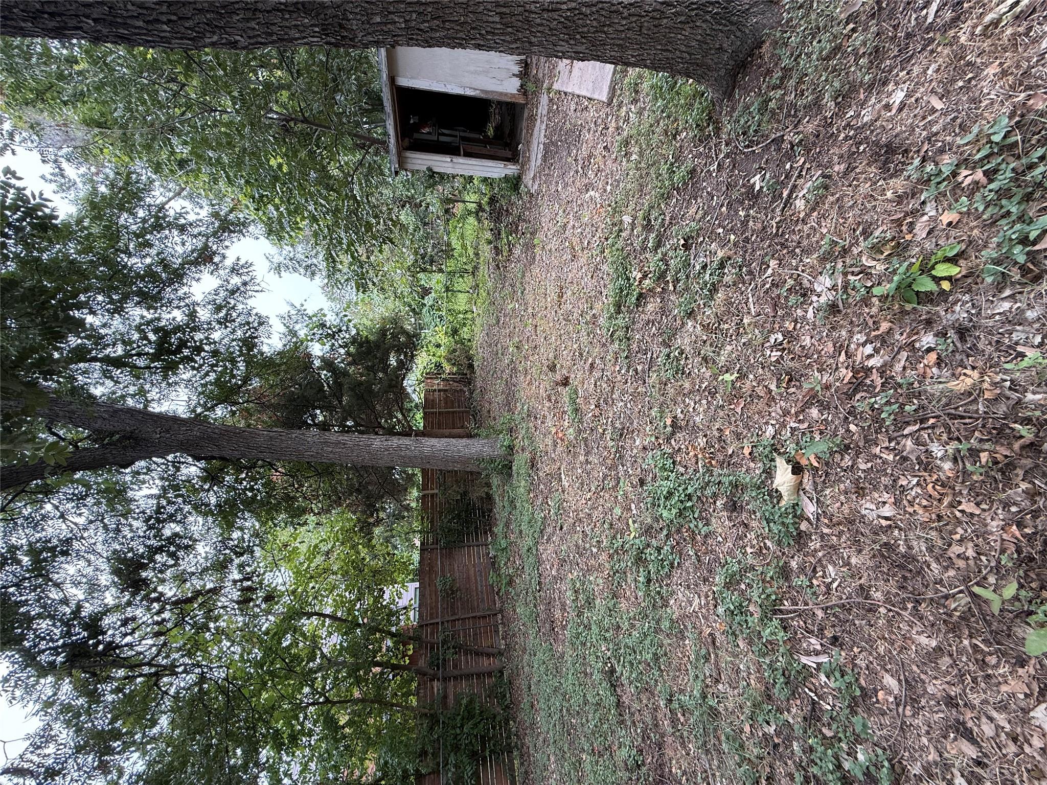 1115 Kirk Ave, Austin, TX 78702