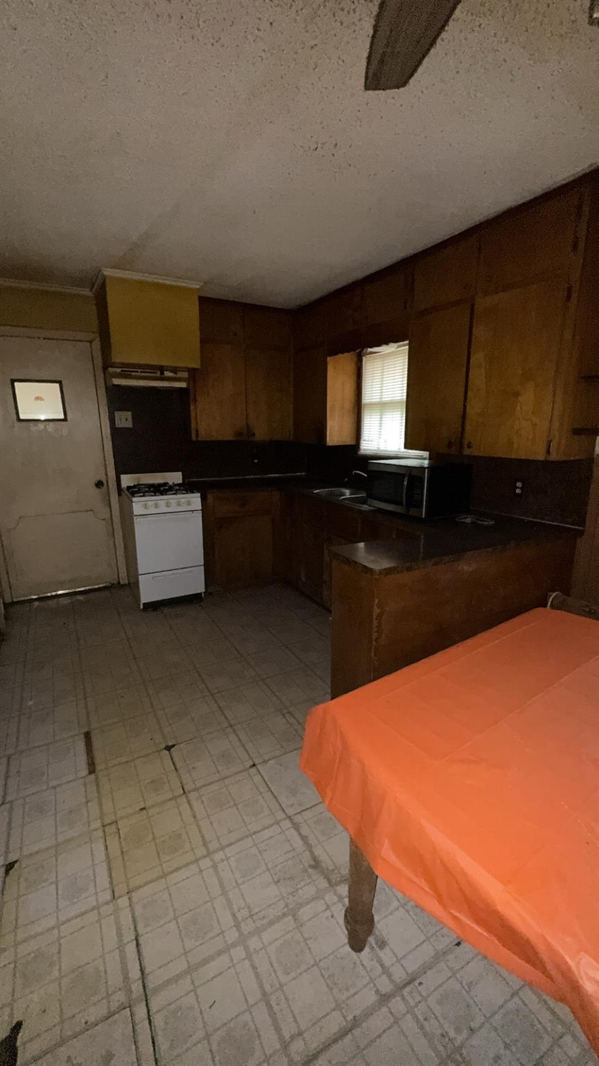 1115 Kirk Ave, Austin, TX 78702