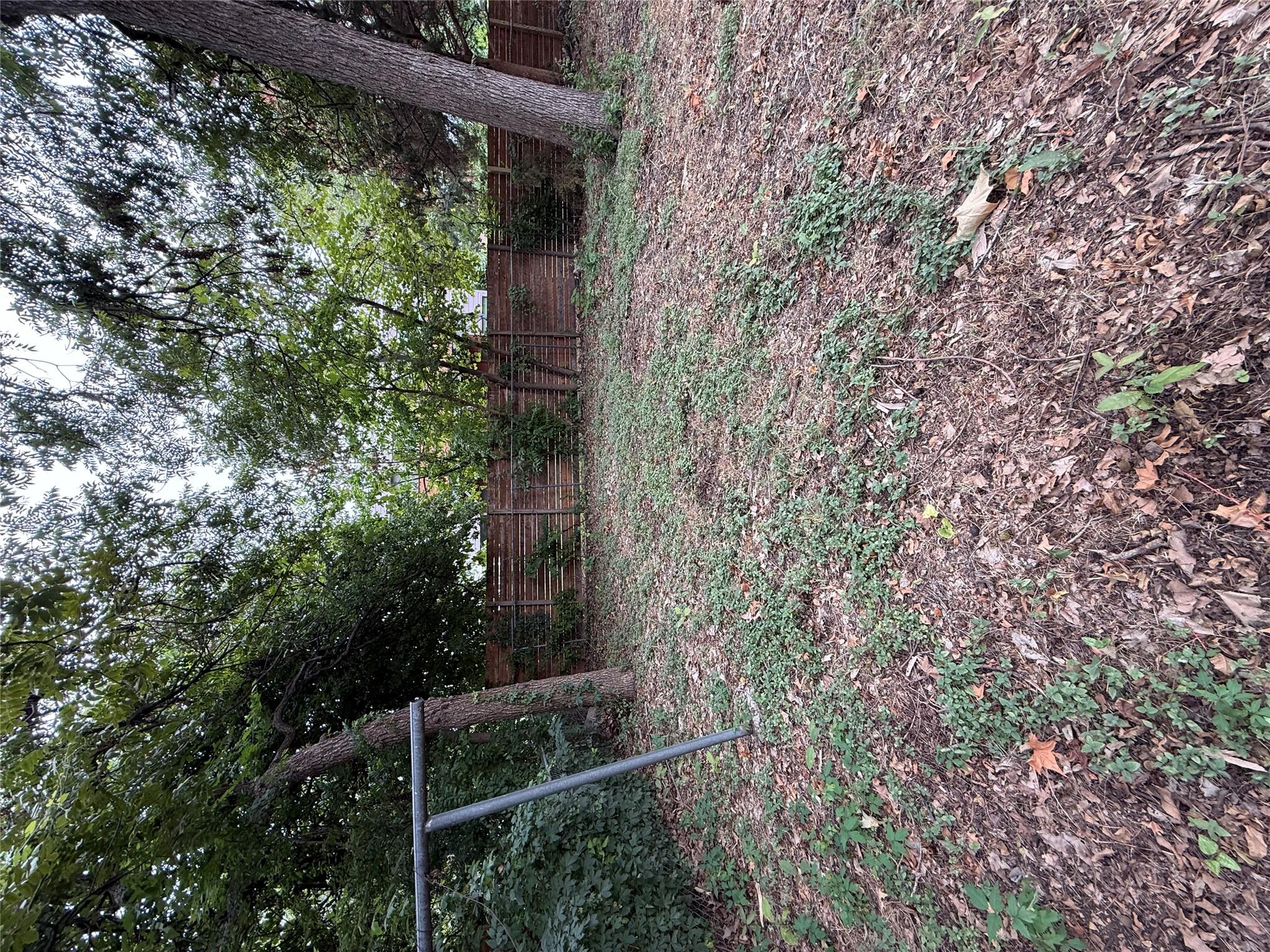 1115 Kirk Ave, Austin, TX 78702