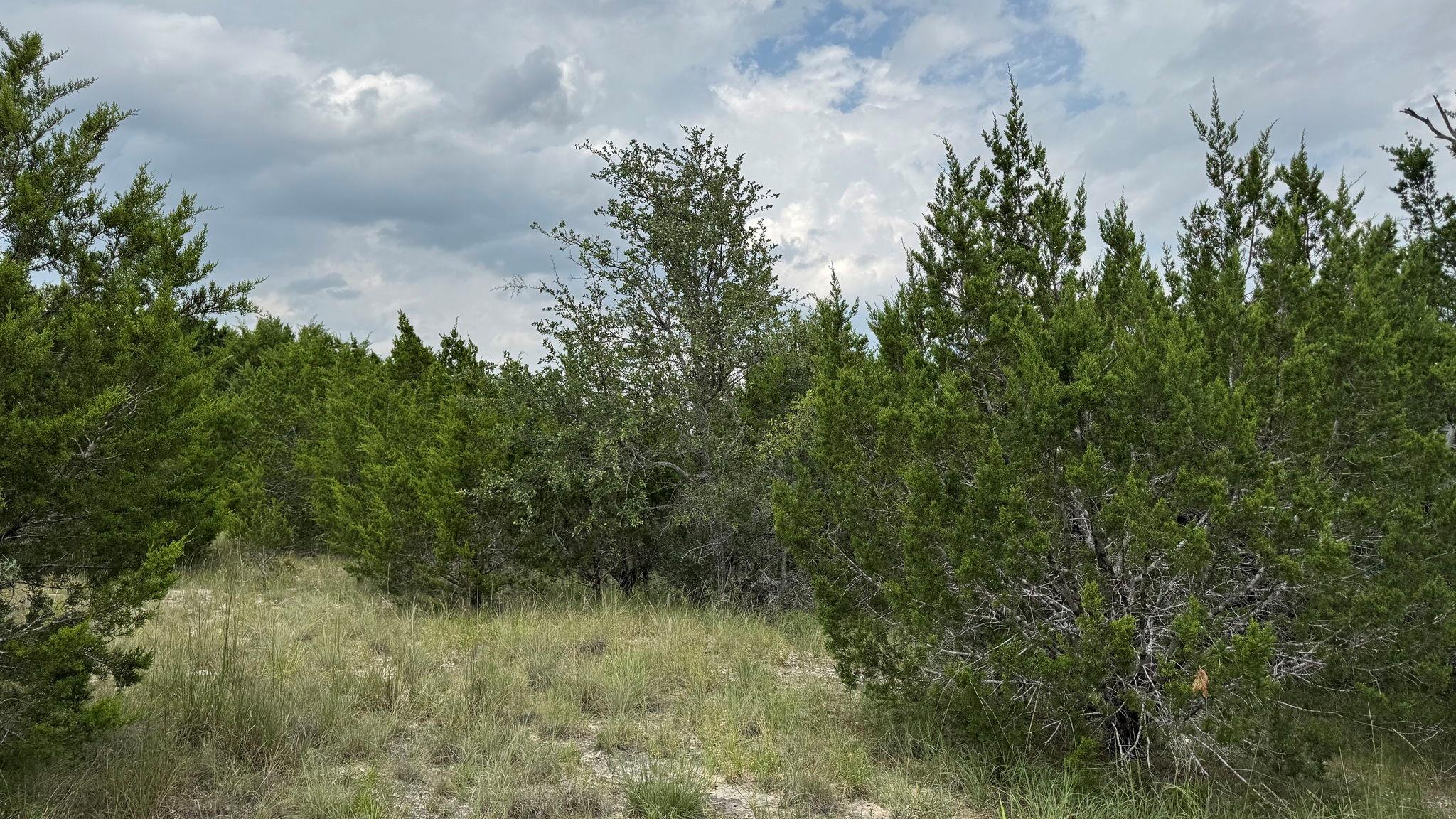 Lot 645 Wagon Wheel Trl, Bertram, TX 78605