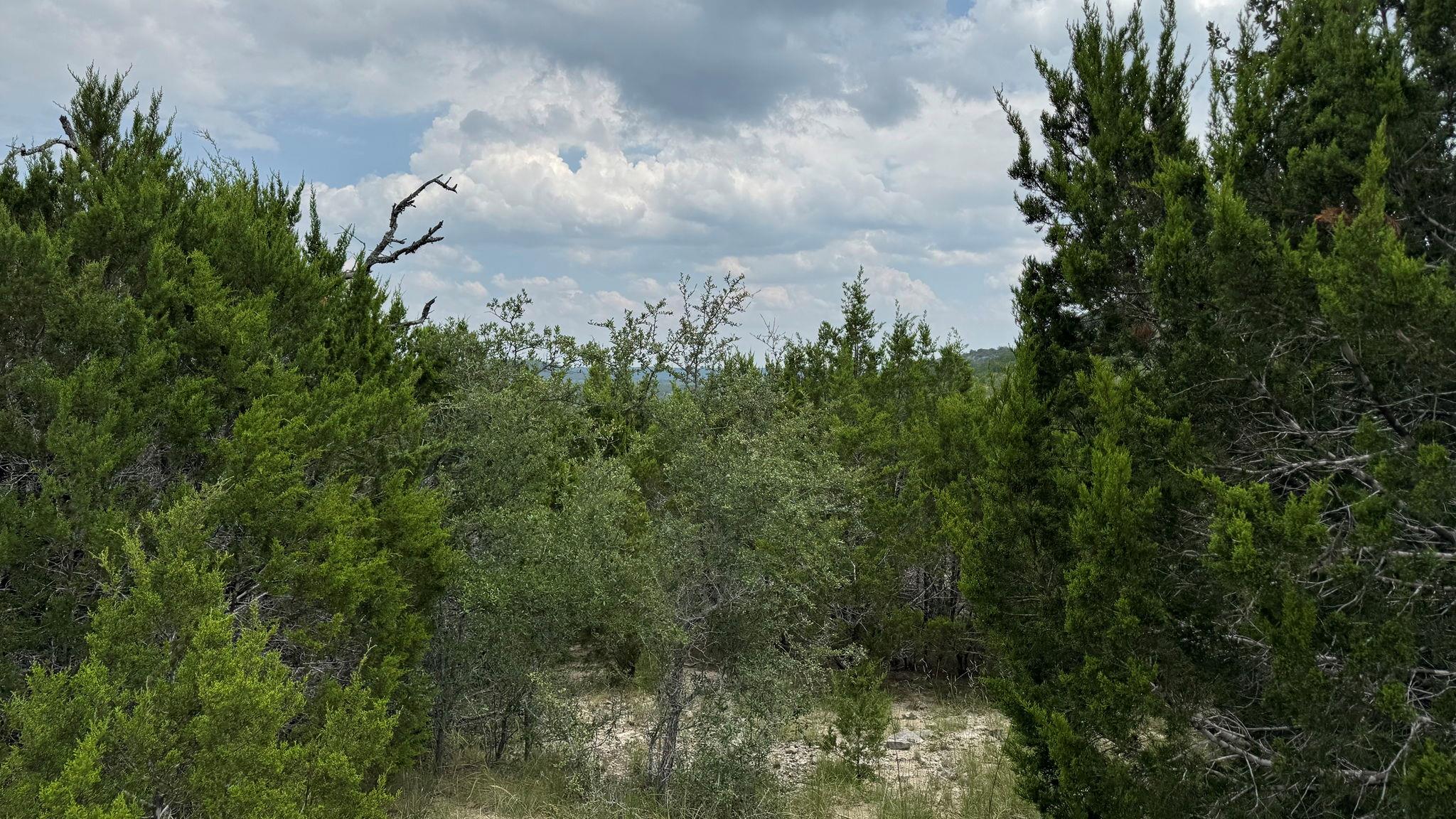 Lot 645 Wagon Wheel Trl, Bertram, TX 78605