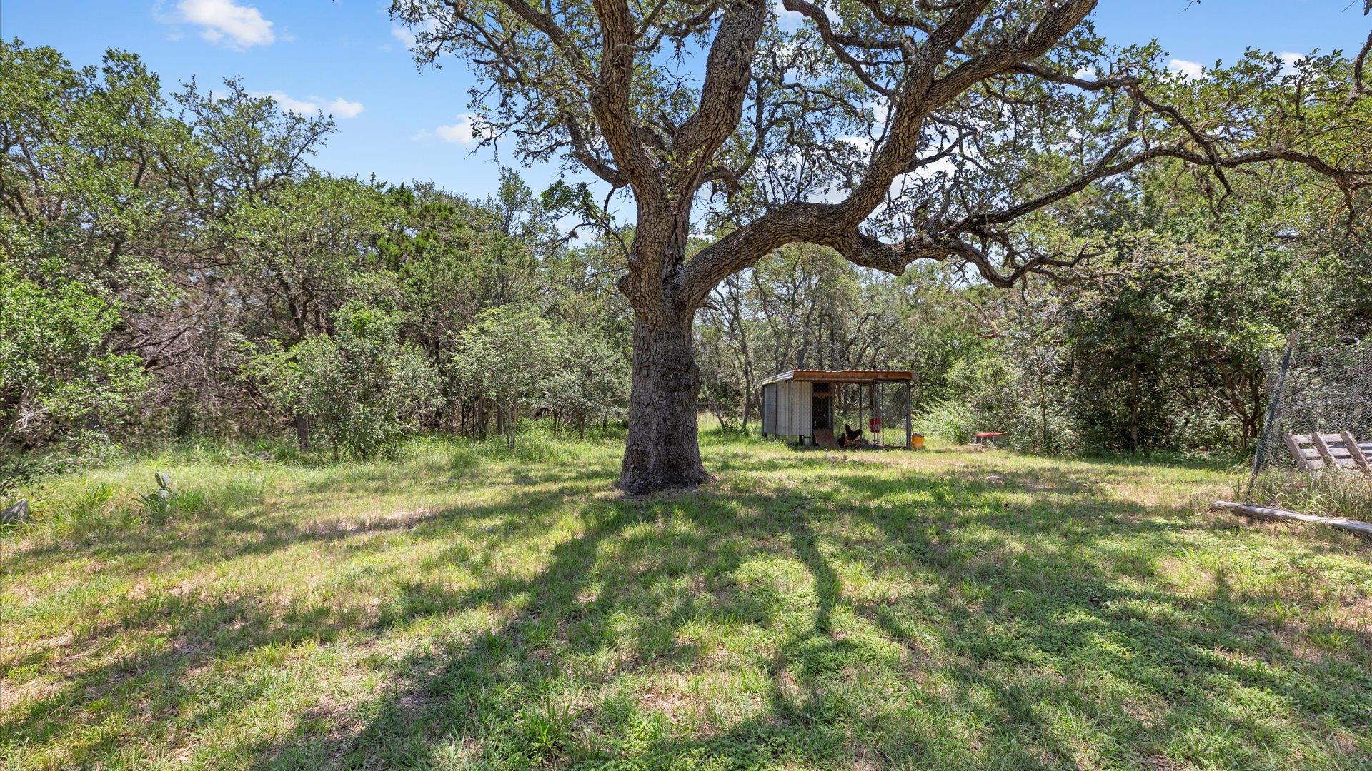 689 Abels Way, Canyon Lake, TX 78133