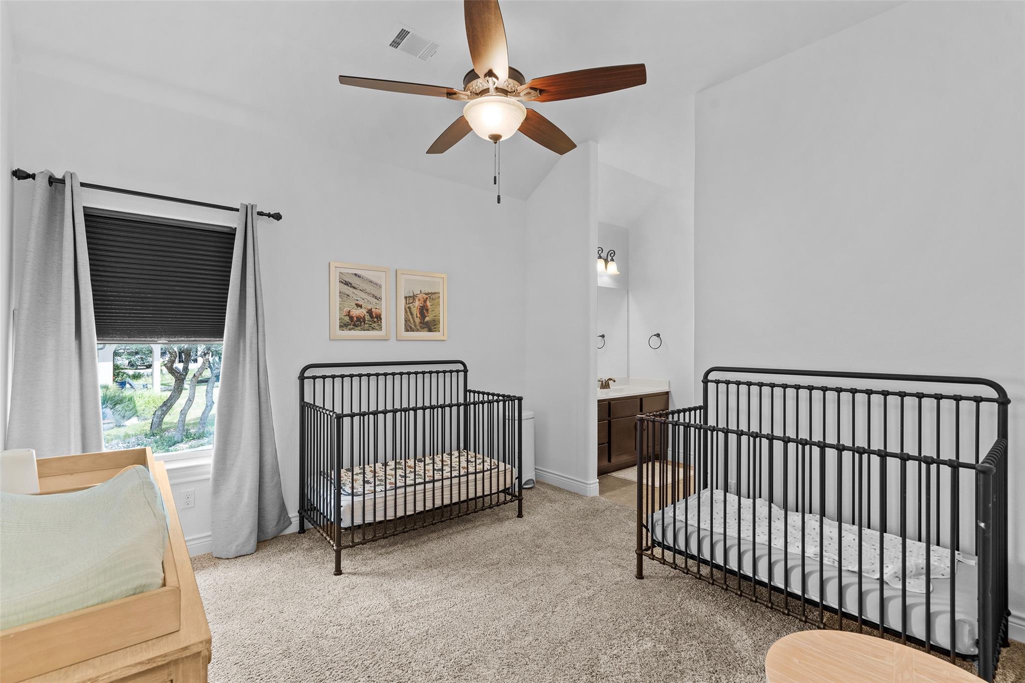 1075 Bluff Woods Dr, Driftwood, TX 78619