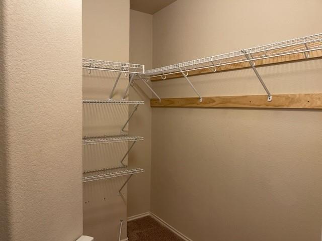 608 Alamo Plaza Dr, Cedar Park, TX 78613