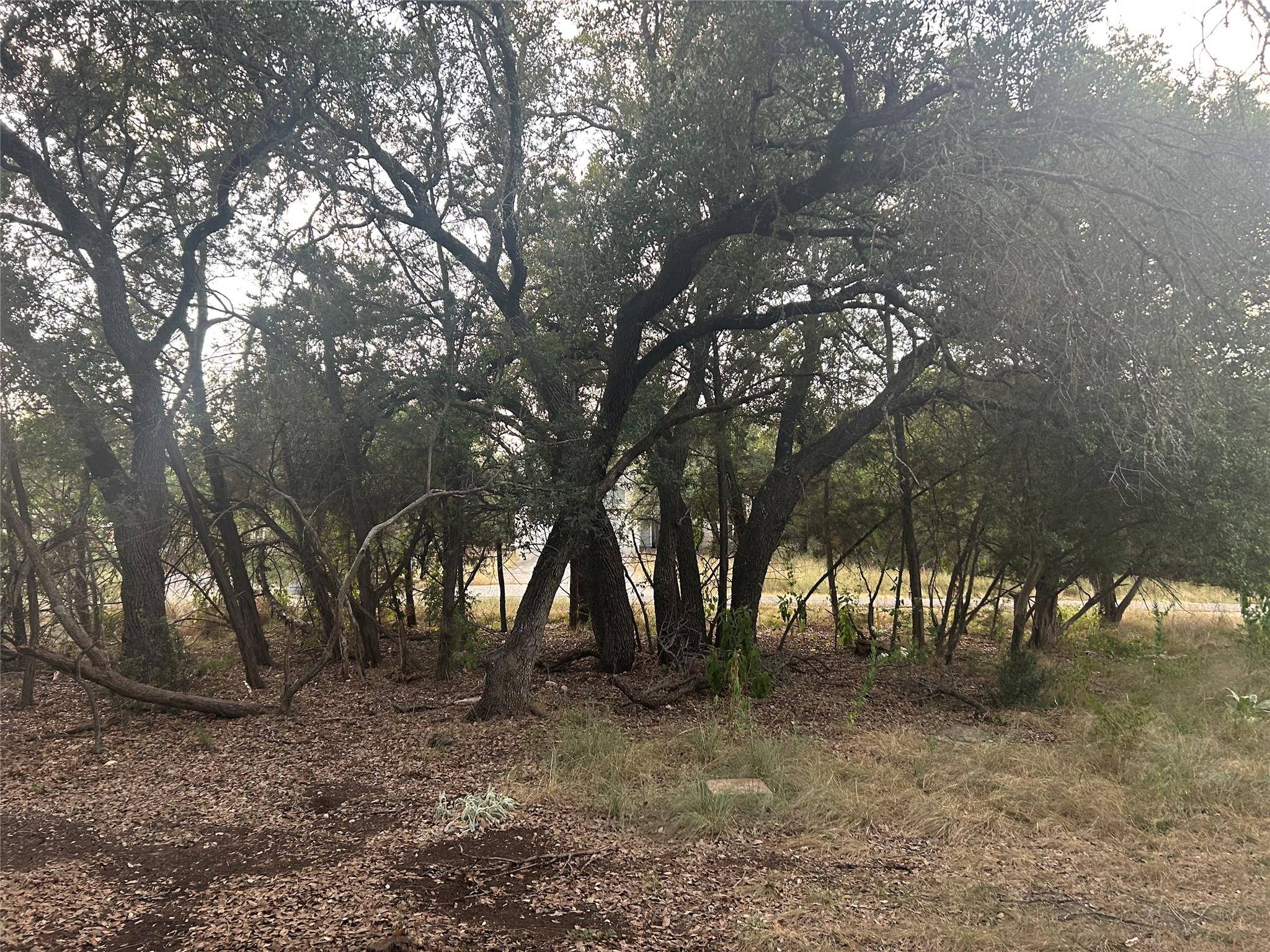 3 Wishing Well Ln, Wimberley, TX 78676