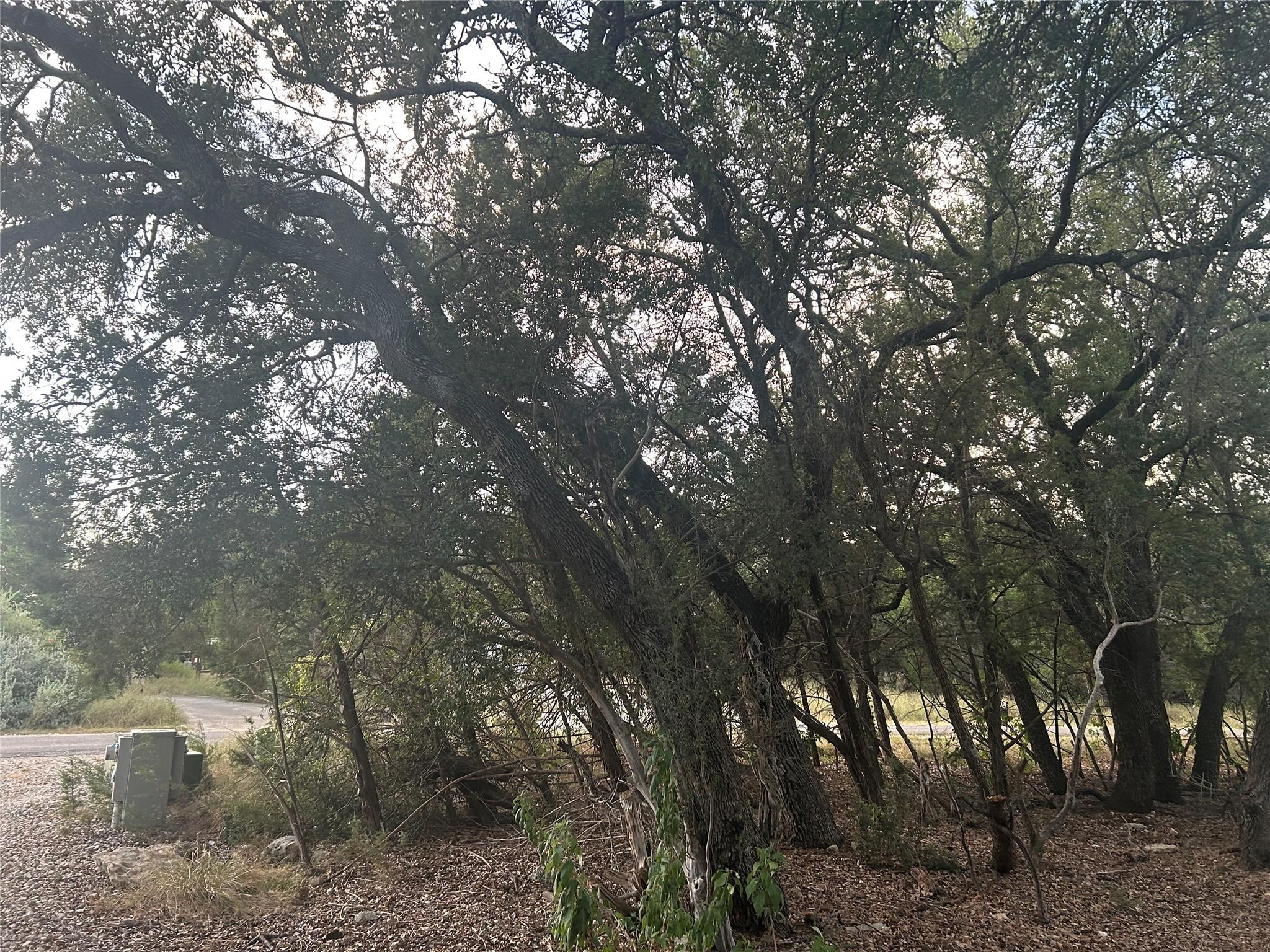 3 Wishing Well Ln, Wimberley, TX 78676