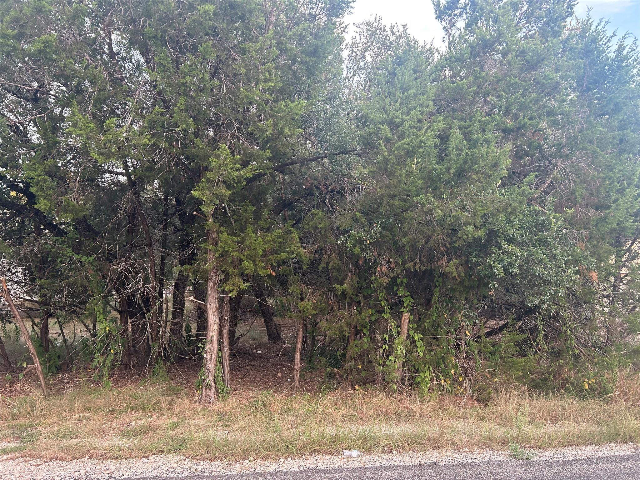 3 Wishing Well Ln, Wimberley, TX 78676