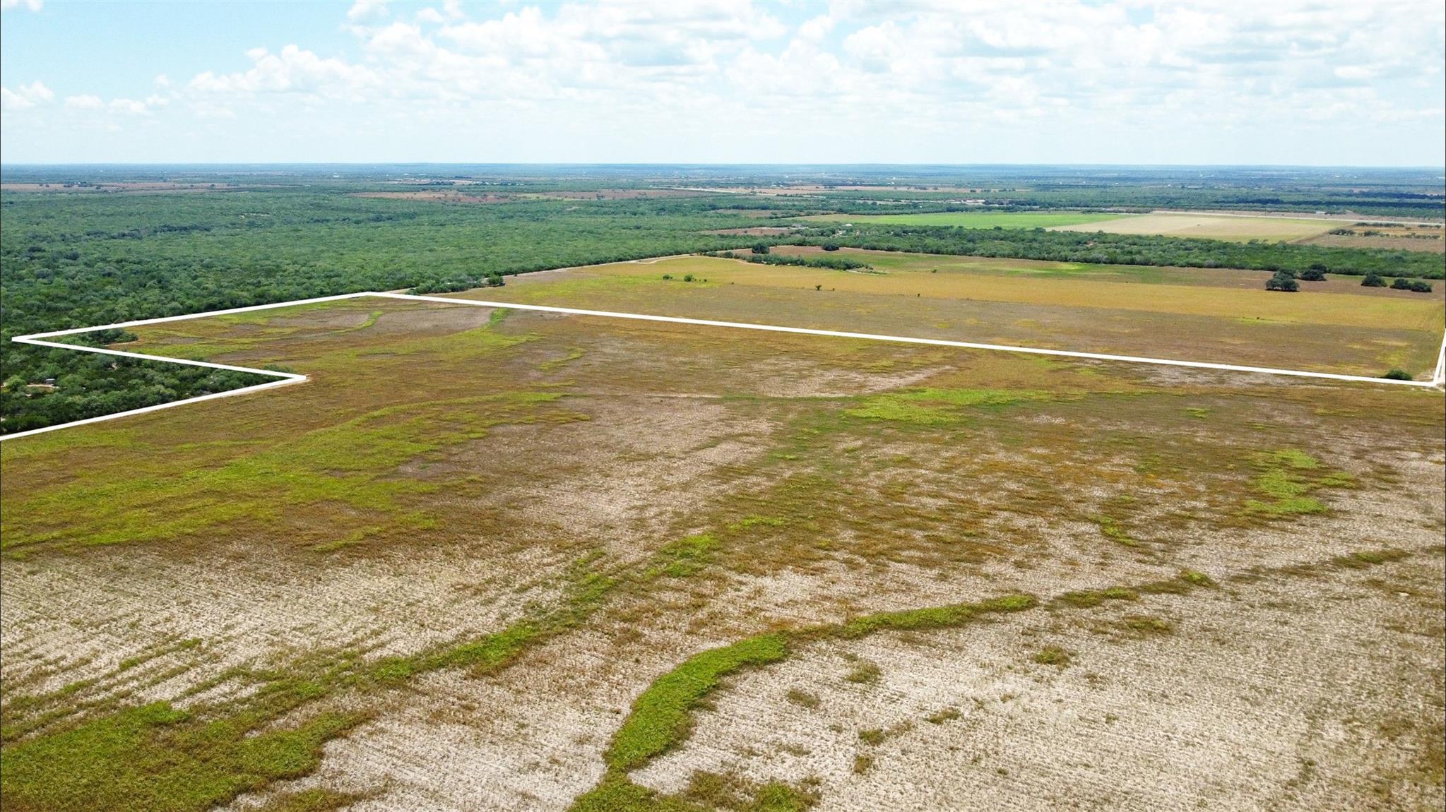 TBD CR 321, George West, TX 78022