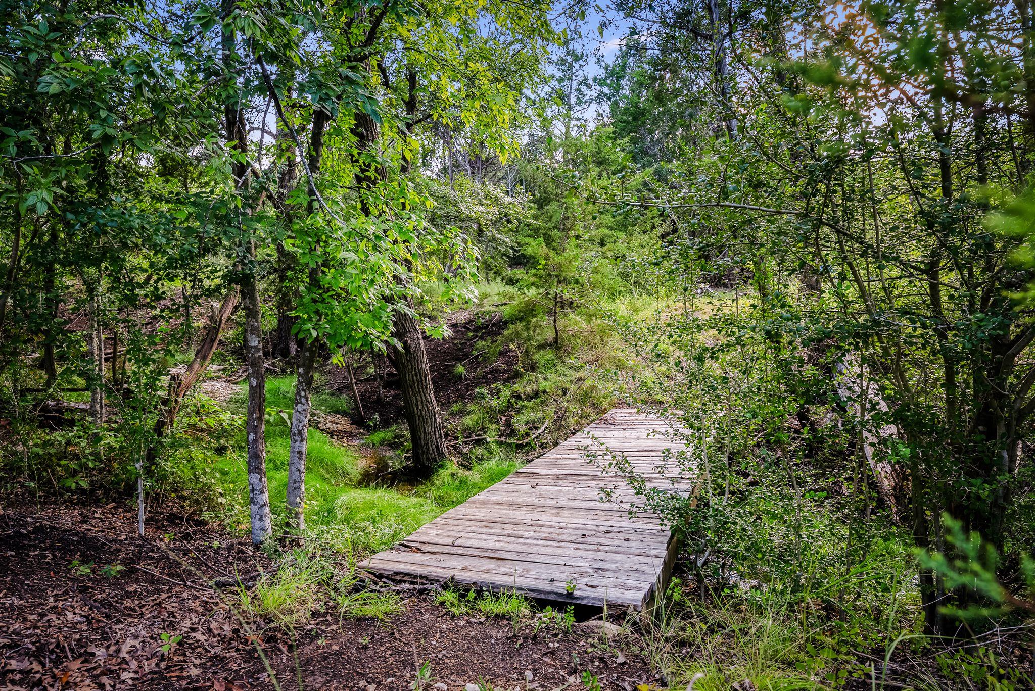 4204 Arthur Cir, Leander, TX 78641