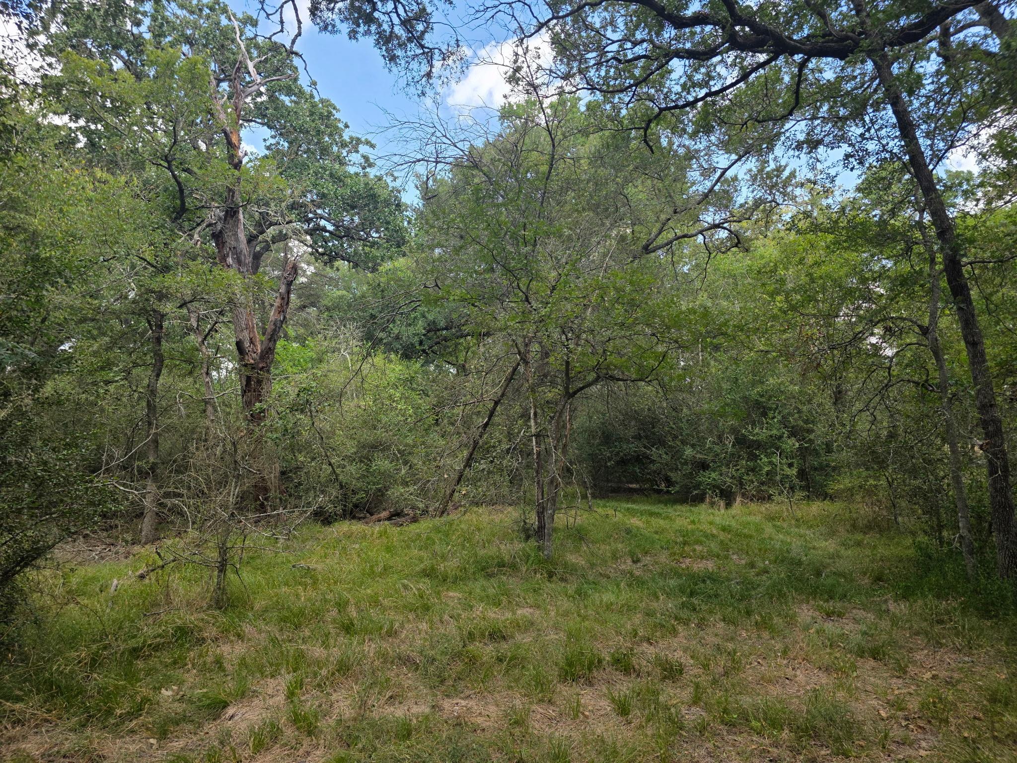 11305 Cooper Ln, Calvert, TX 77837