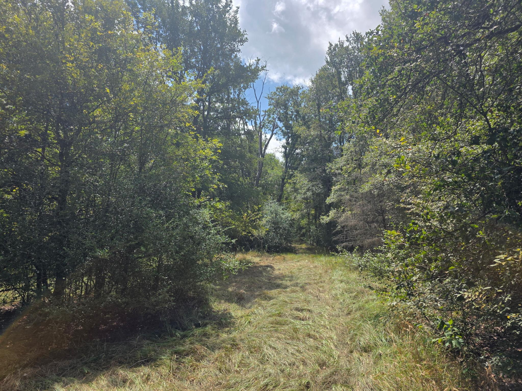 11305 Cooper Ln, Calvert, TX 77837