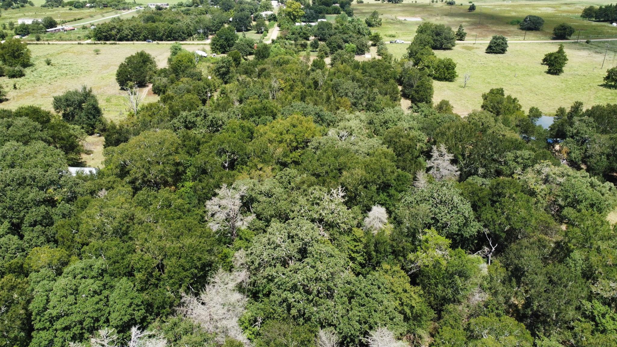 11305 Cooper Ln, Calvert, TX 77837