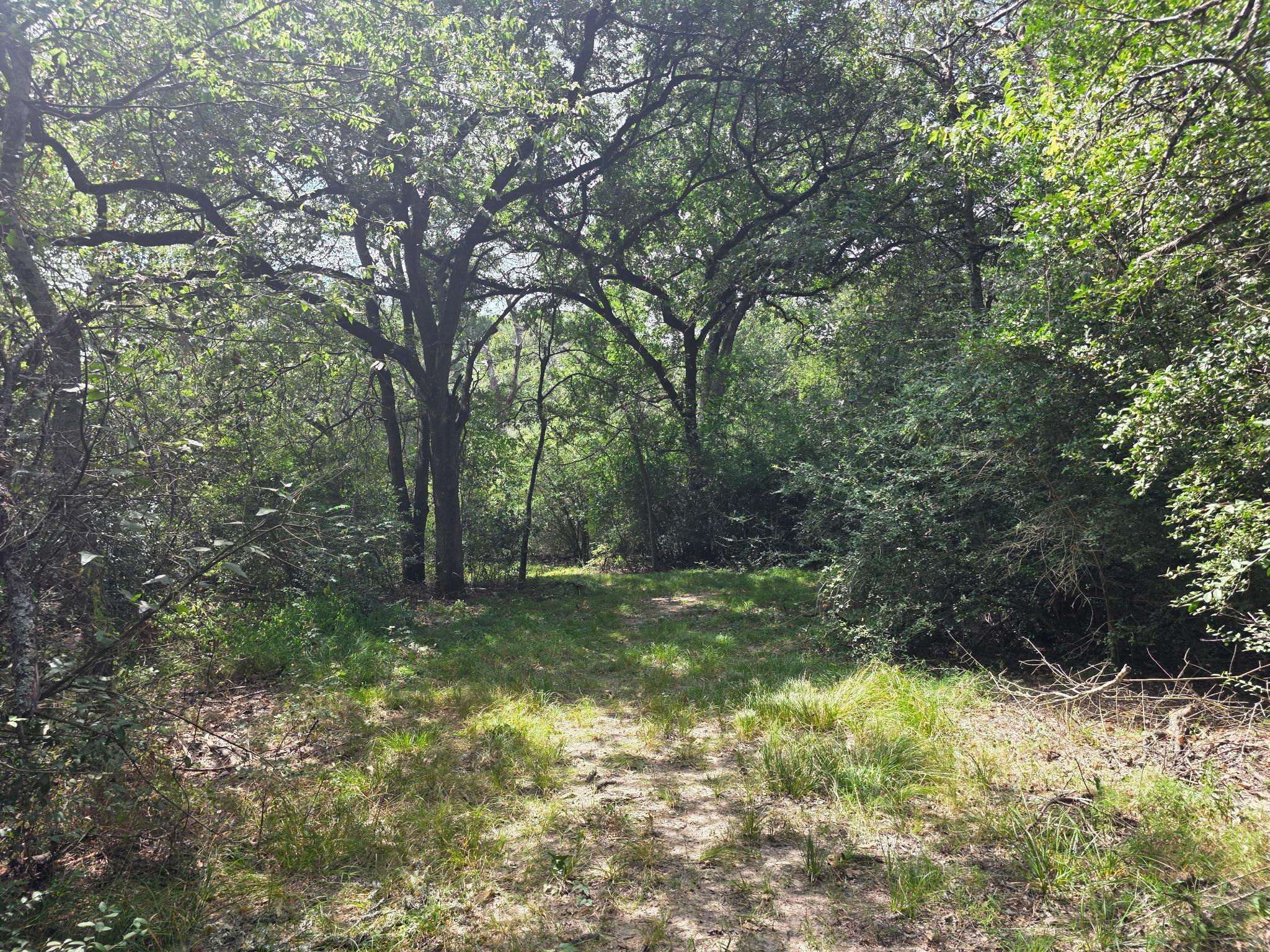 11305 Cooper Ln, Calvert, TX 77837