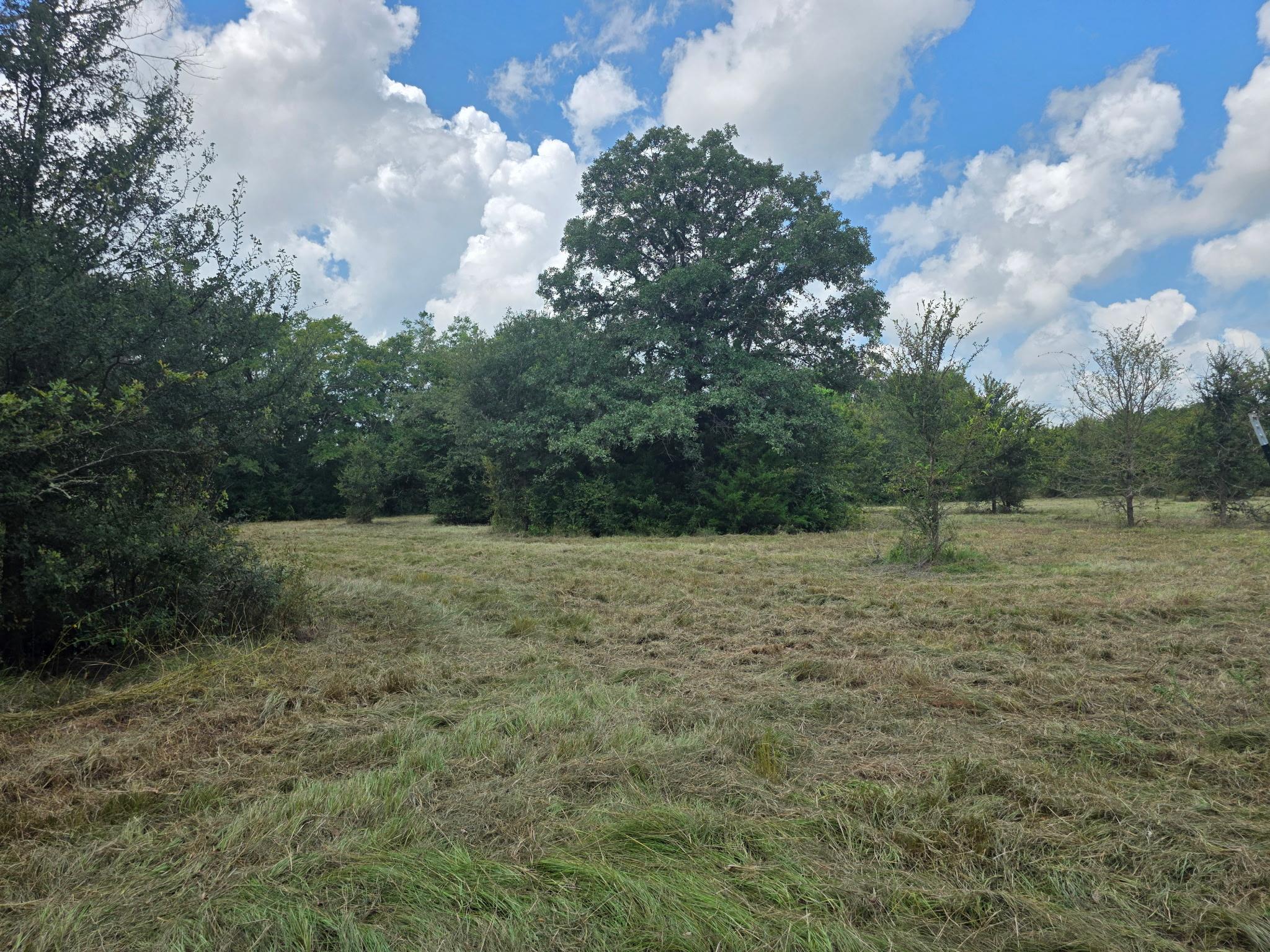 11305 Cooper Ln, Calvert, TX 77837