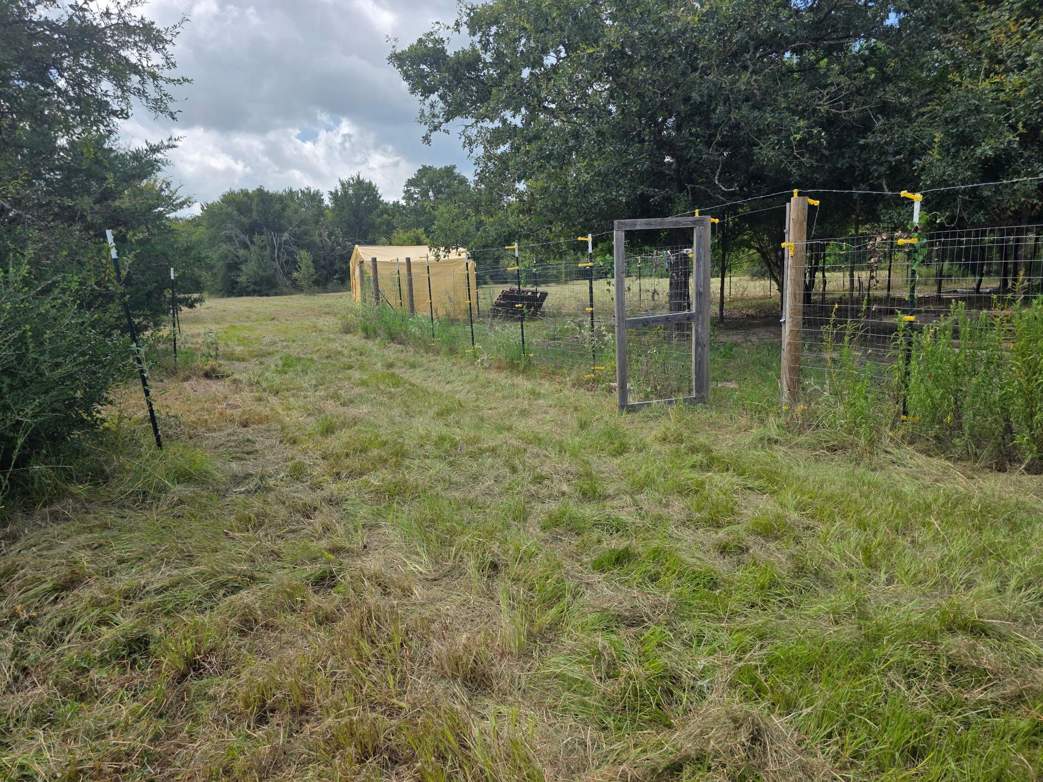 11305 Cooper Ln, Calvert, TX 77837