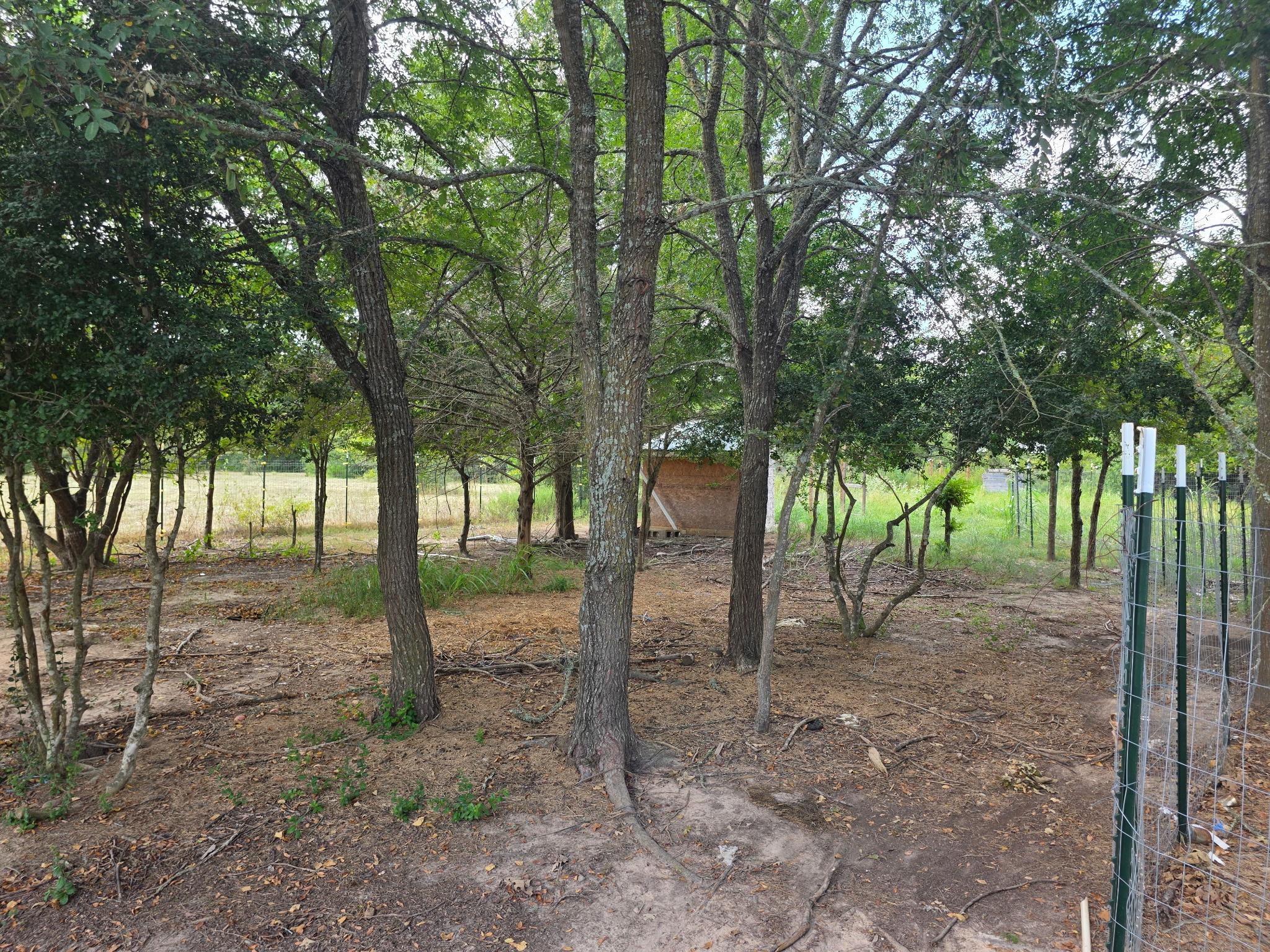 11305 Cooper Ln, Calvert, TX 77837