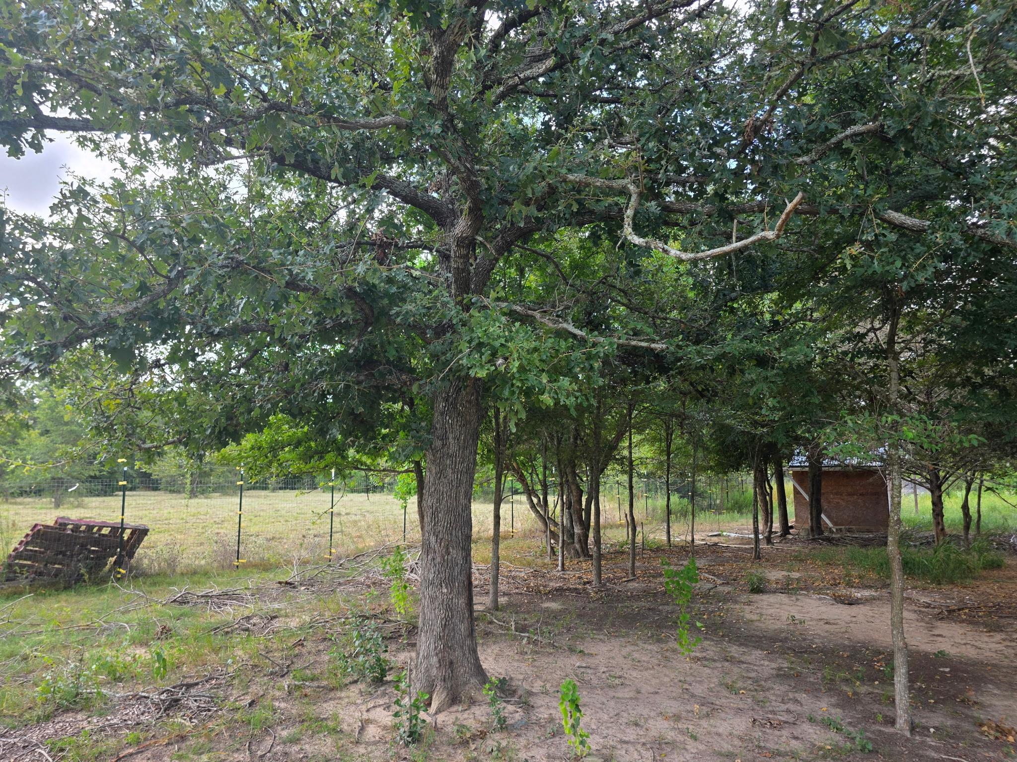 11305 Cooper Ln, Calvert, TX 77837