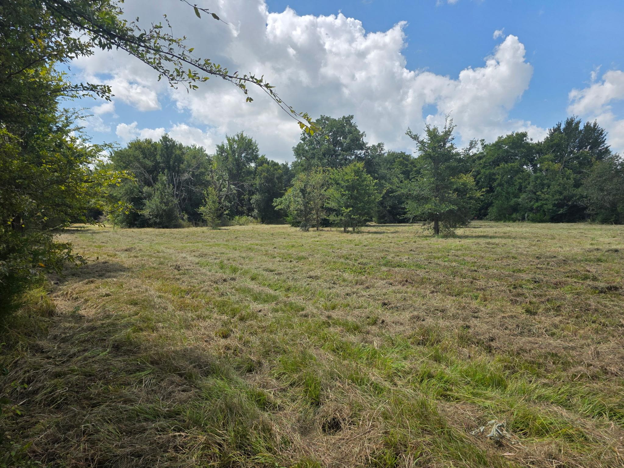 11305 Cooper Ln, Calvert, TX 77837