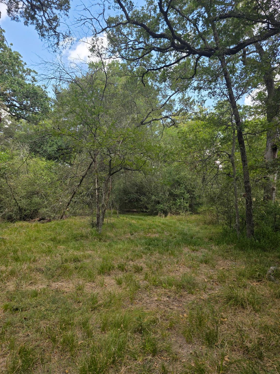 11305 Cooper Ln, Calvert, TX 77837