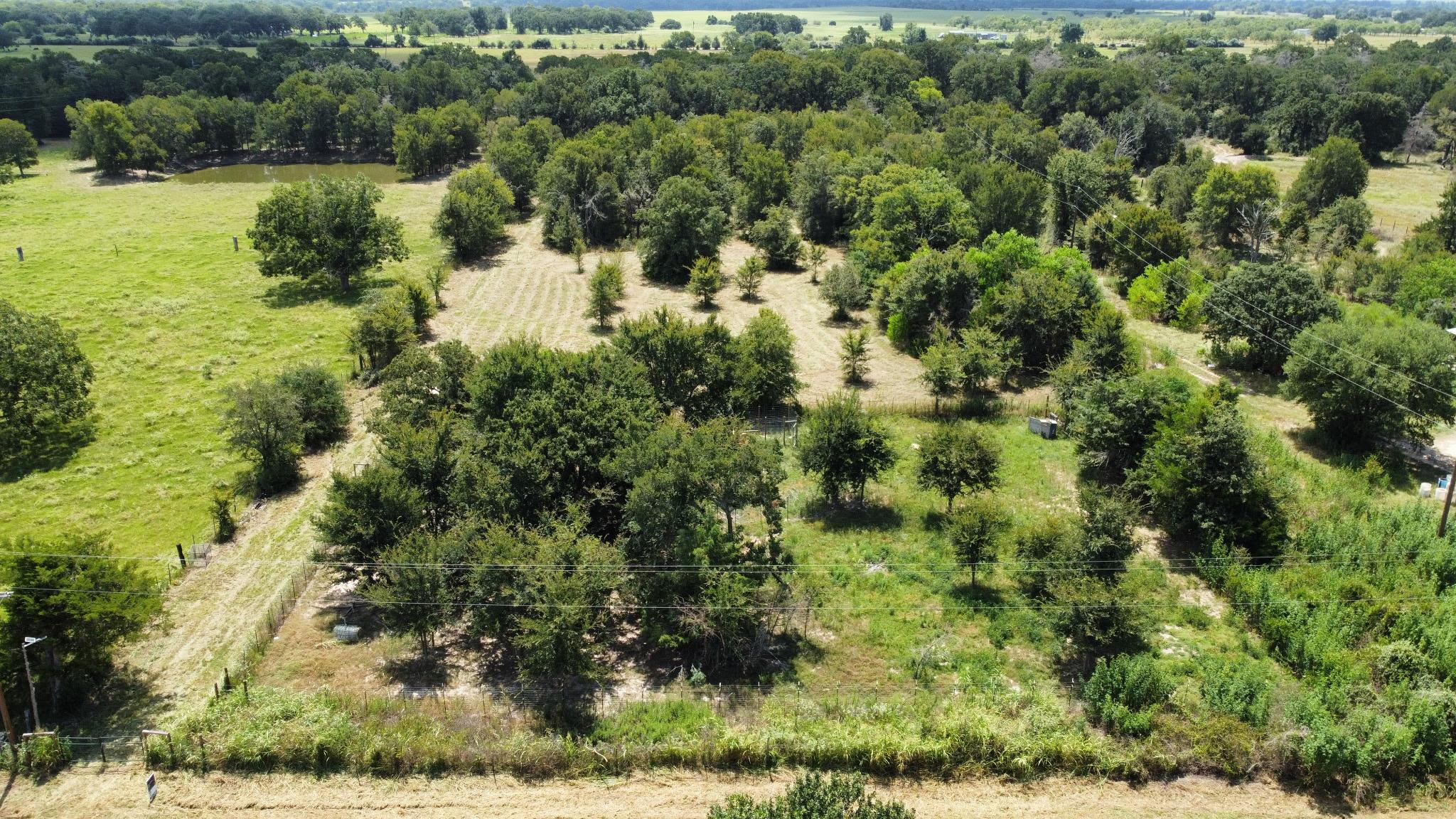 11305 Cooper Ln, Calvert, TX 77837