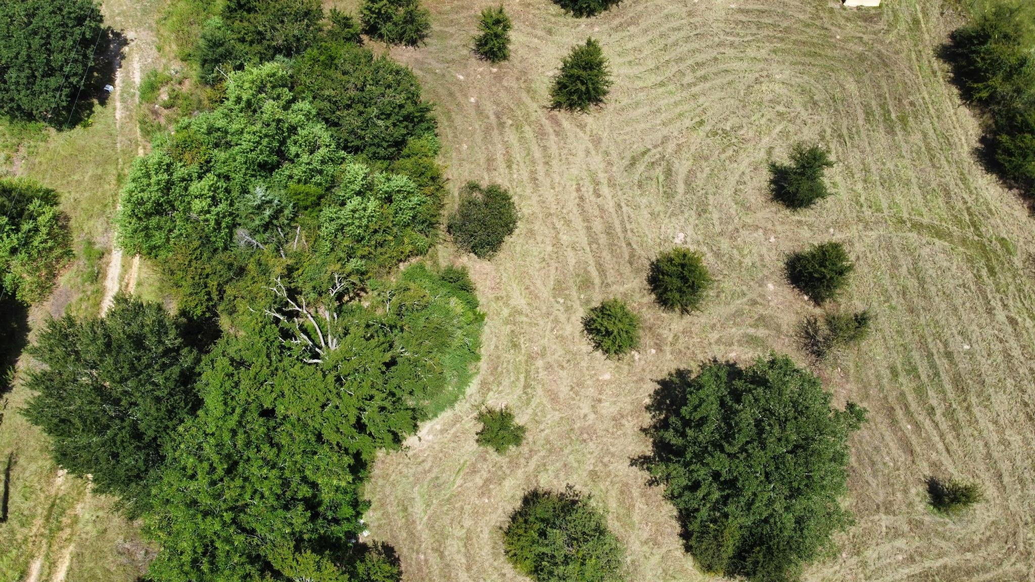 11305 Cooper Ln, Calvert, TX 77837