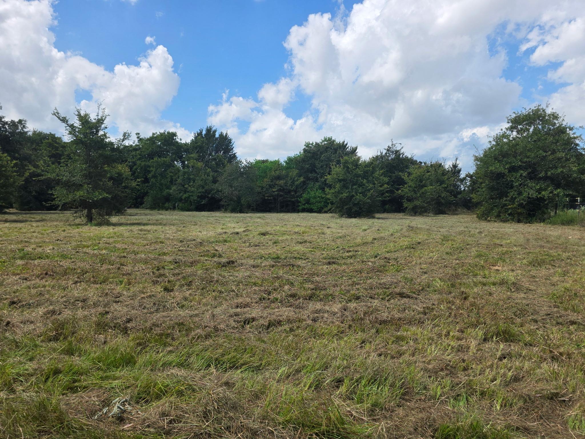 11305 Cooper Ln, Calvert, TX 77837