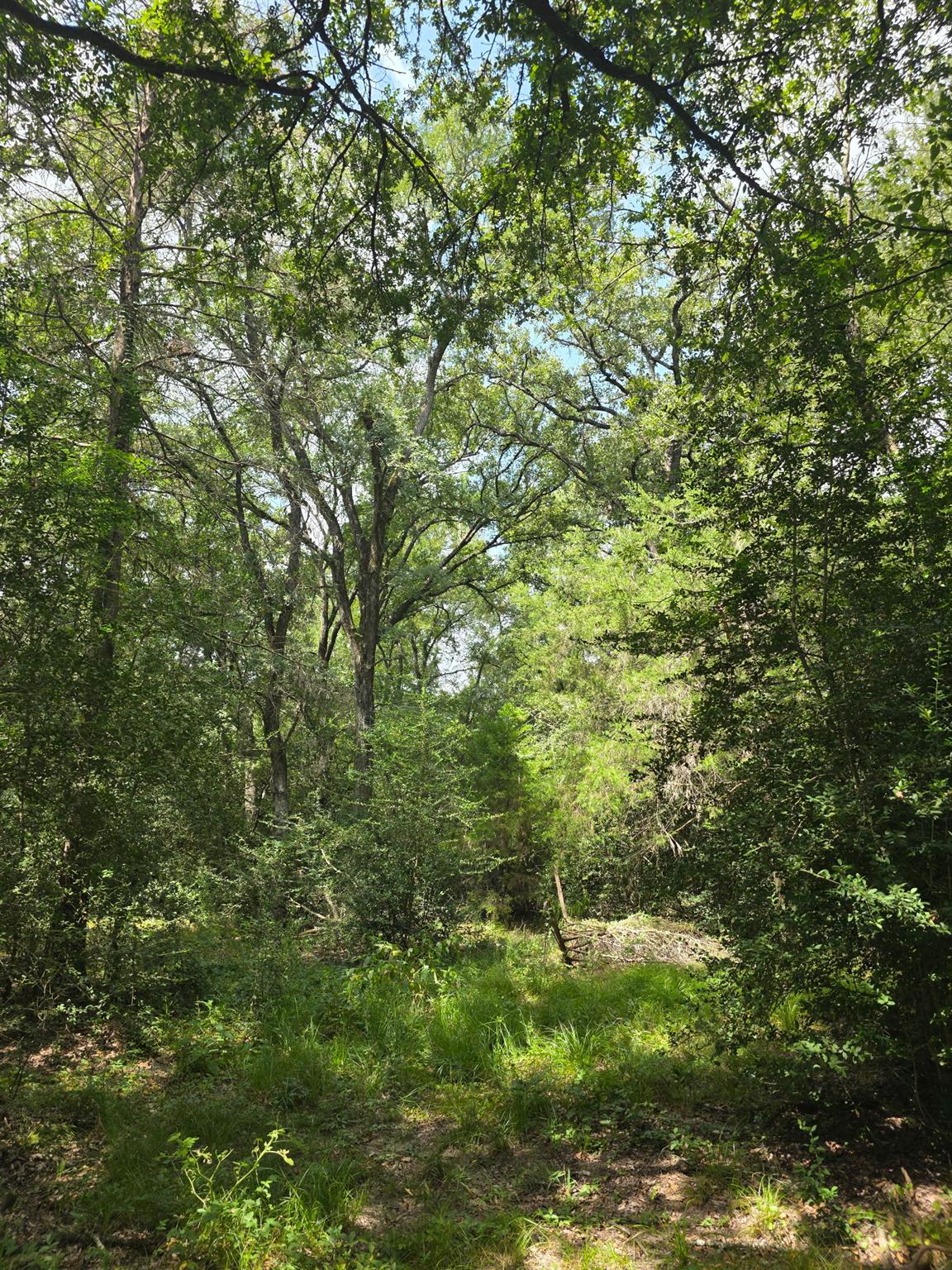 11305 Cooper Ln, Calvert, TX 77837