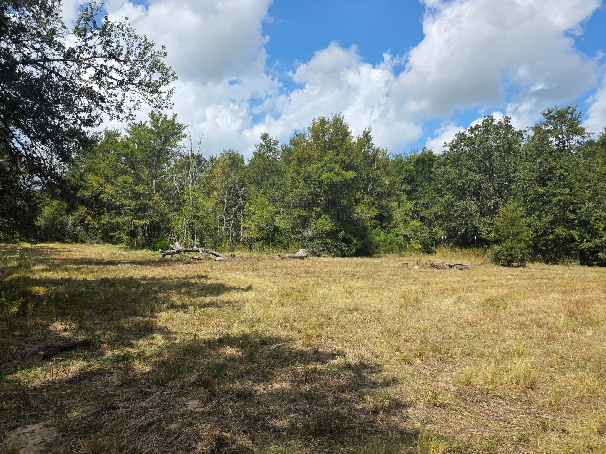 11305 Cooper Ln, Calvert, TX 77837