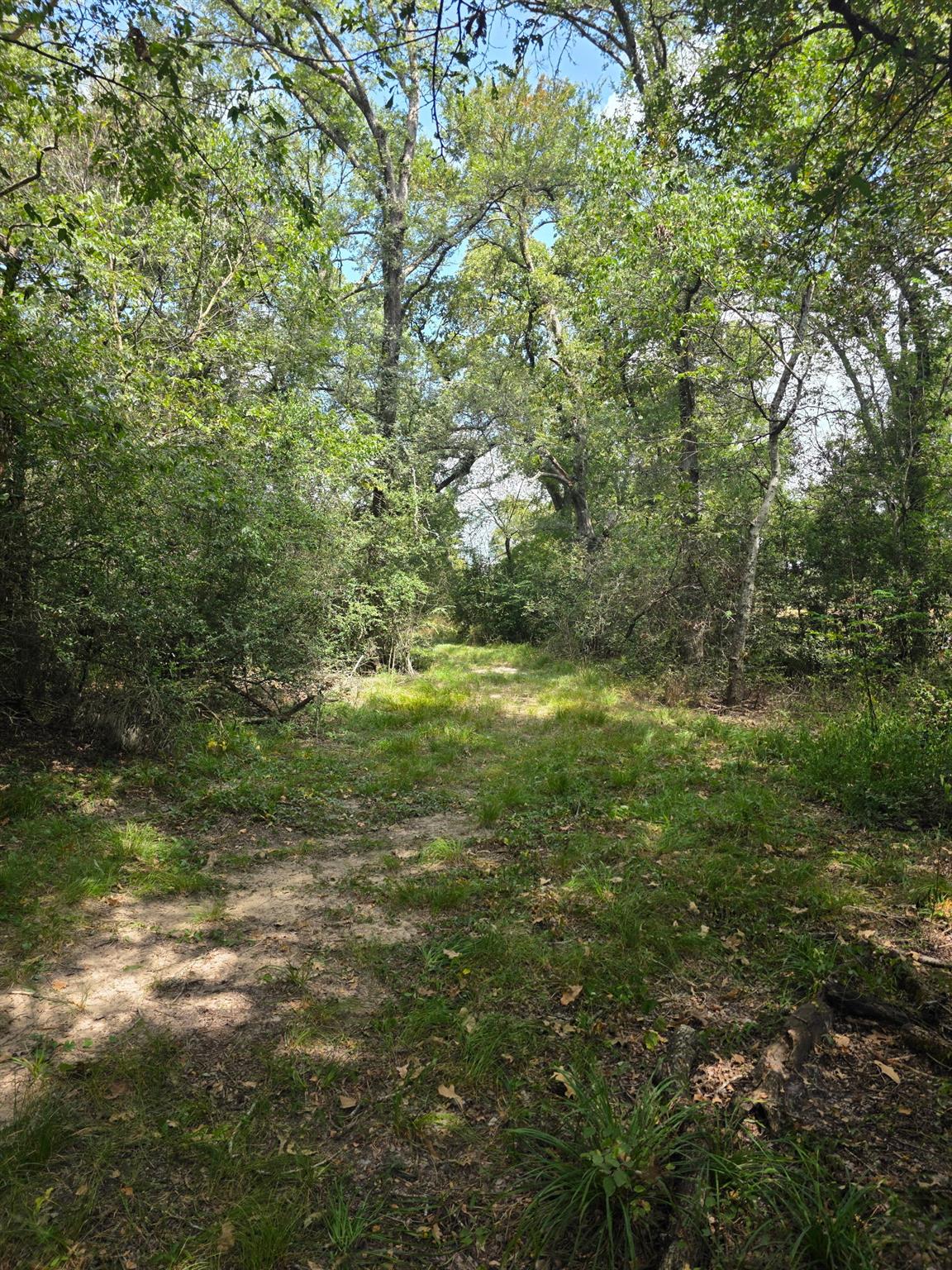 11305 Cooper Ln, Calvert, TX 77837