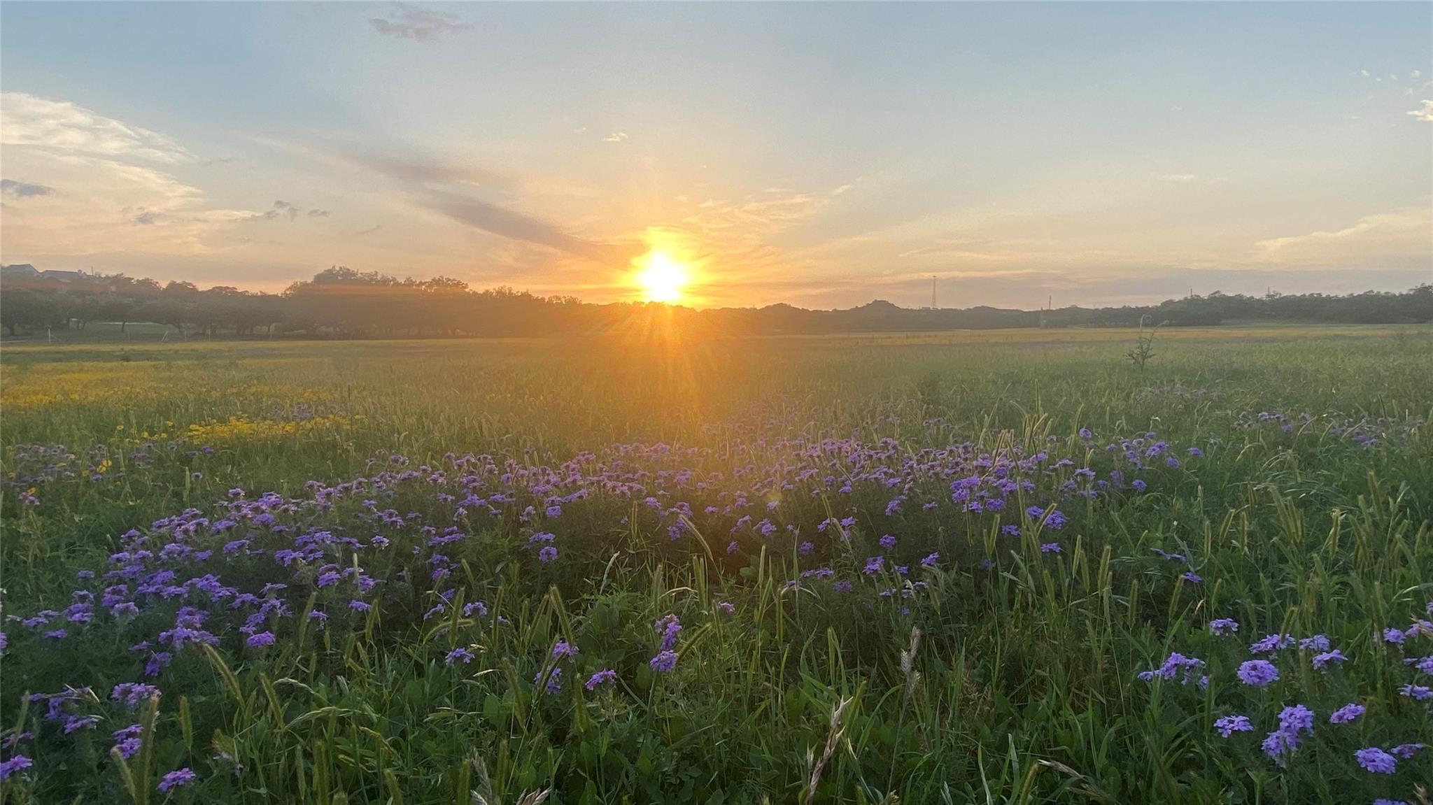 3758 N US Hwy 281, Blanco, TX 78606