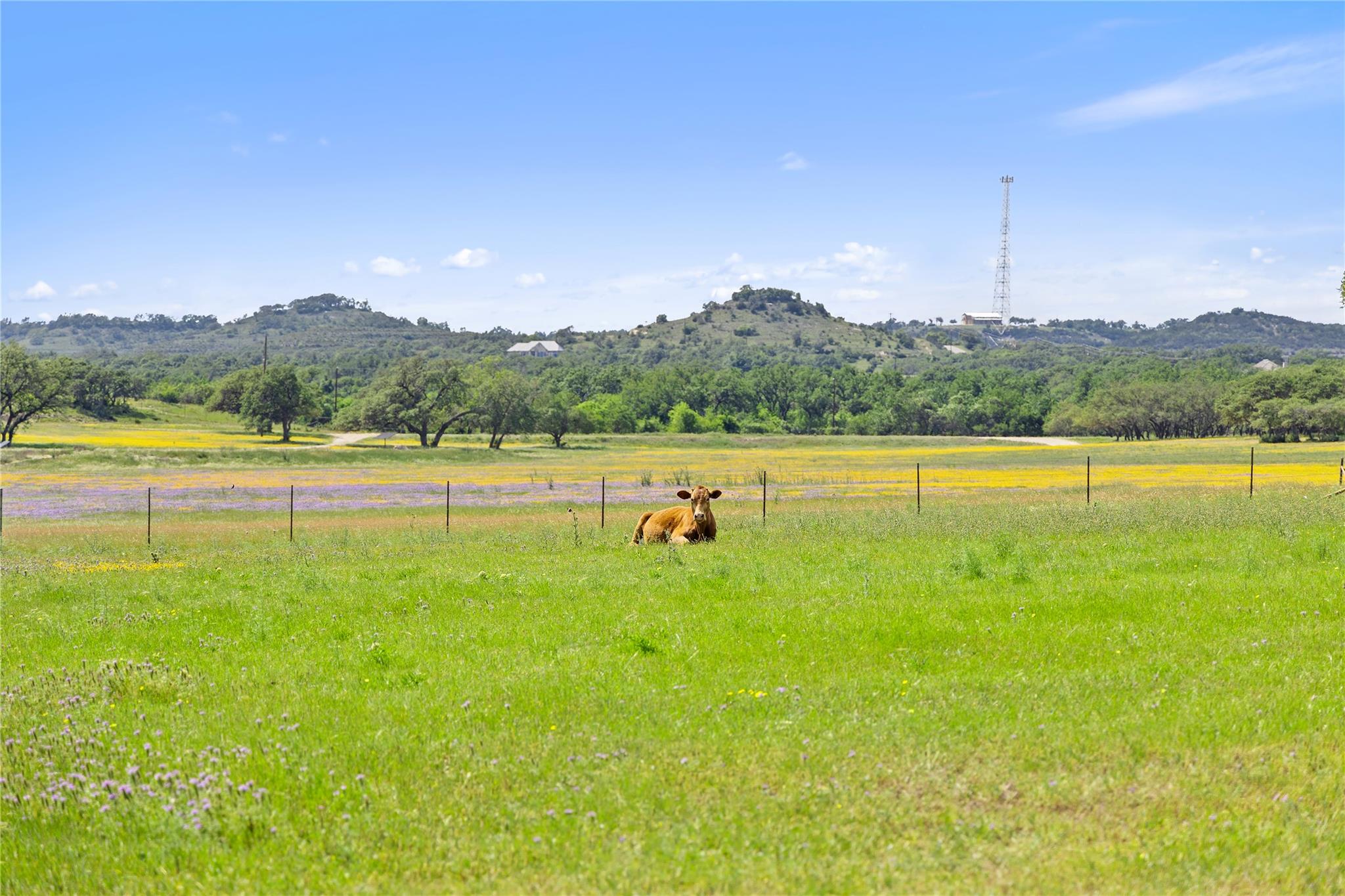 3758 N US Hwy 281, Blanco, TX 78606