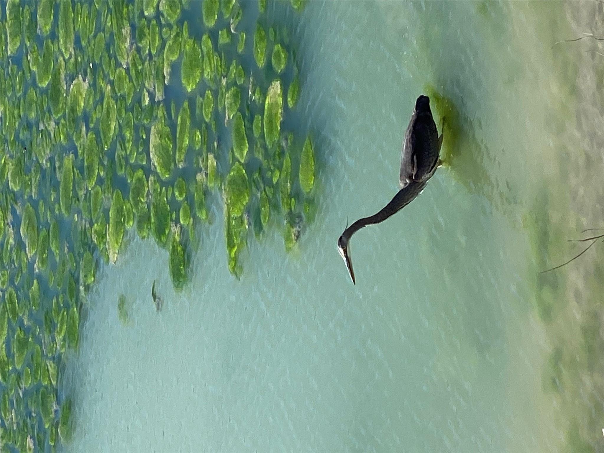 3758 N US Hwy 281, Blanco, TX 78606