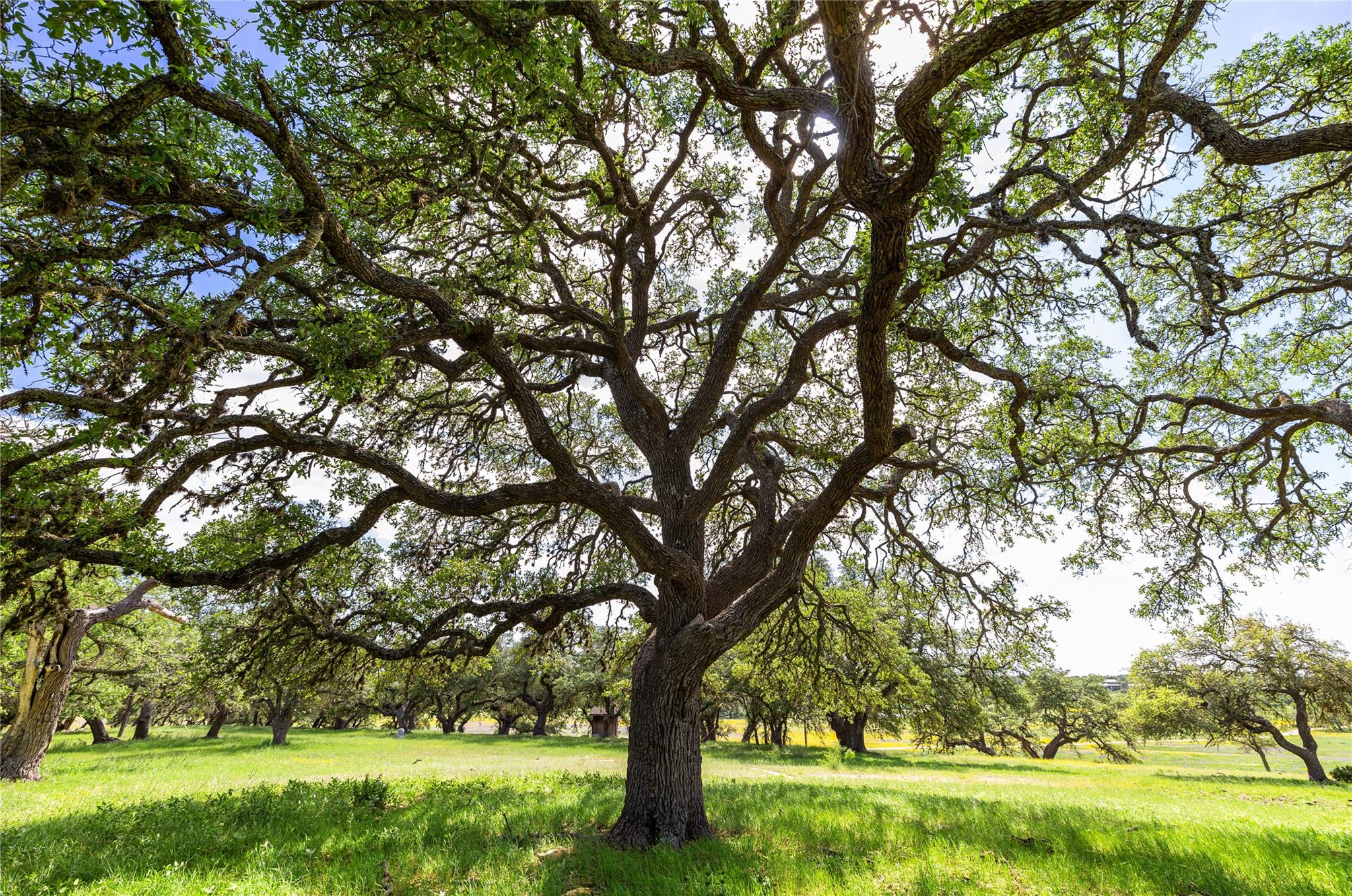 3758 N US Hwy 281, Blanco, TX 78606