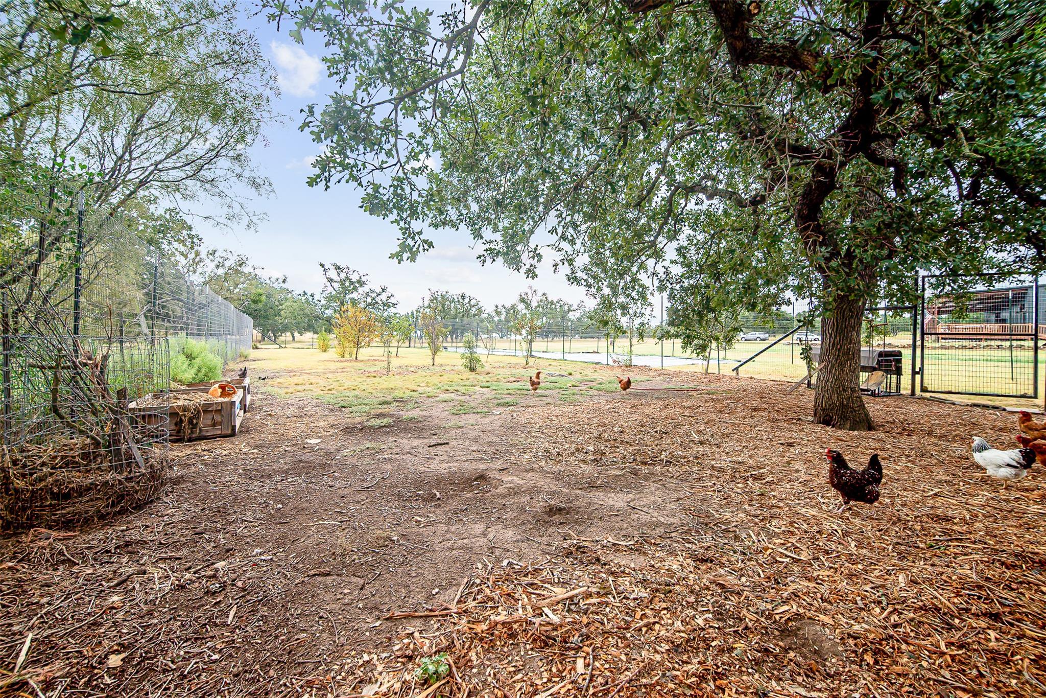 350 Gold Schaefer Rd, Fredericksburg, TX 78624