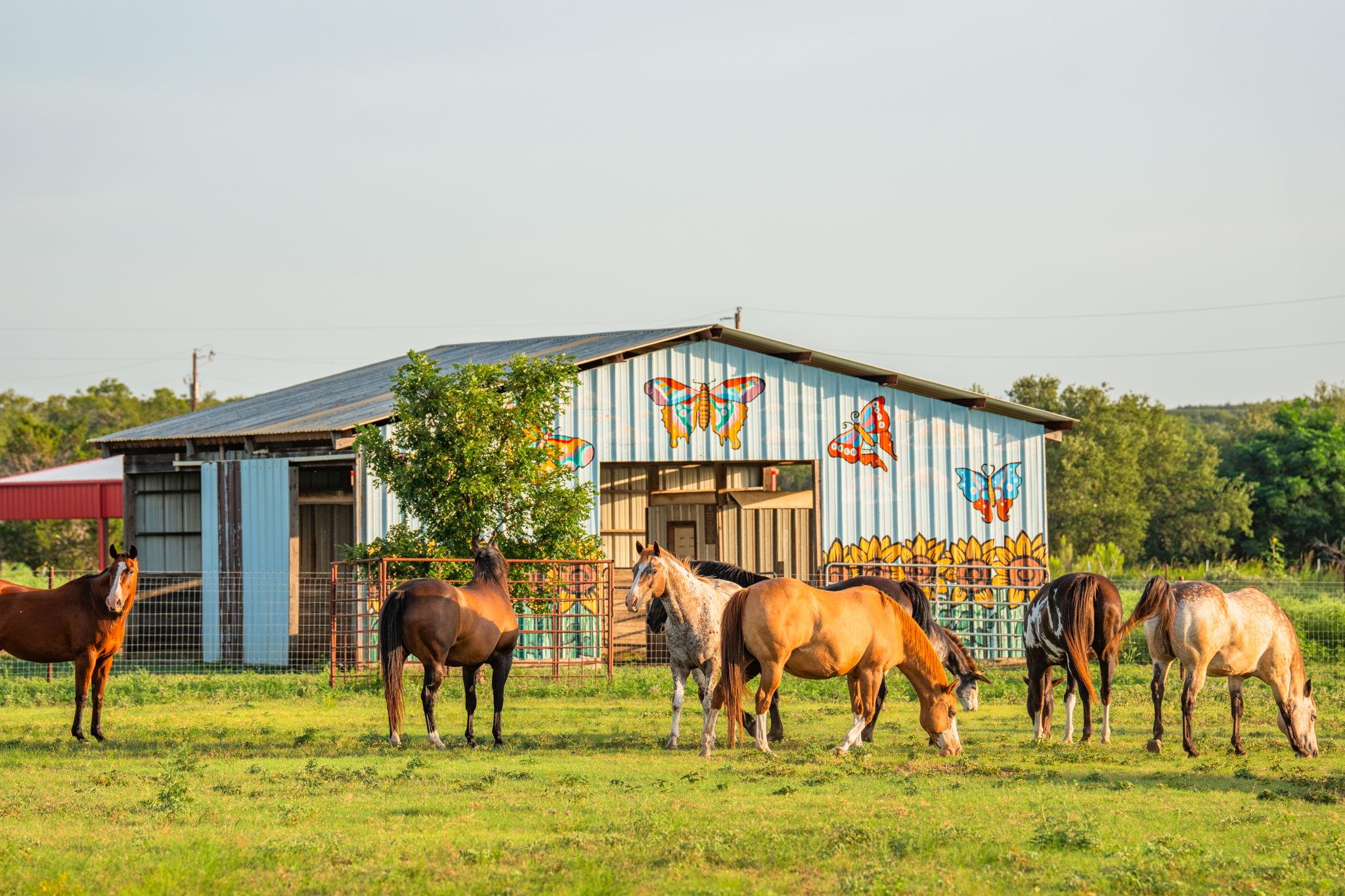 00 County Rd 284, Liberty Hill, TX 78642