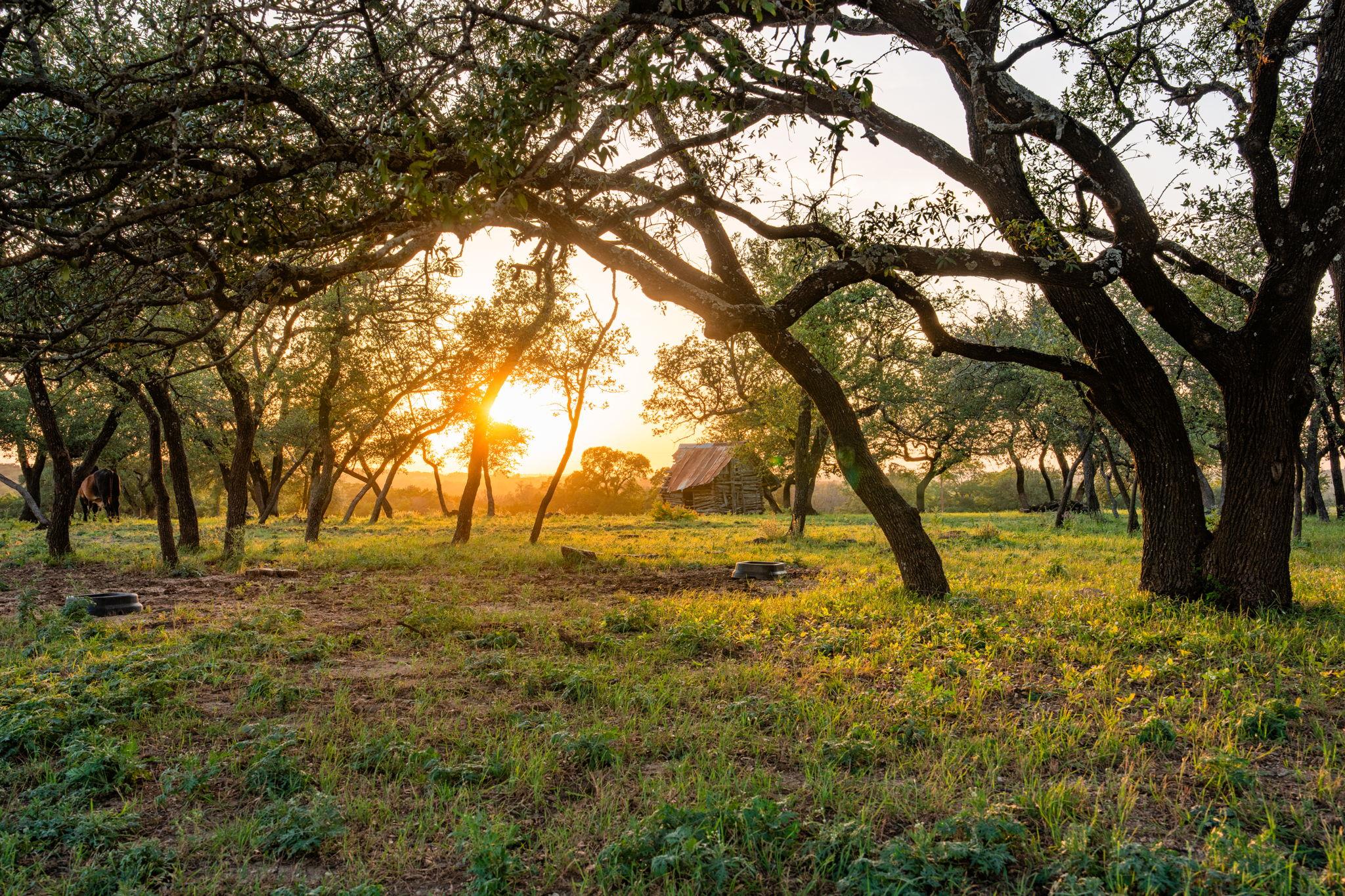 00 County Rd 284, Liberty Hill, TX 78642