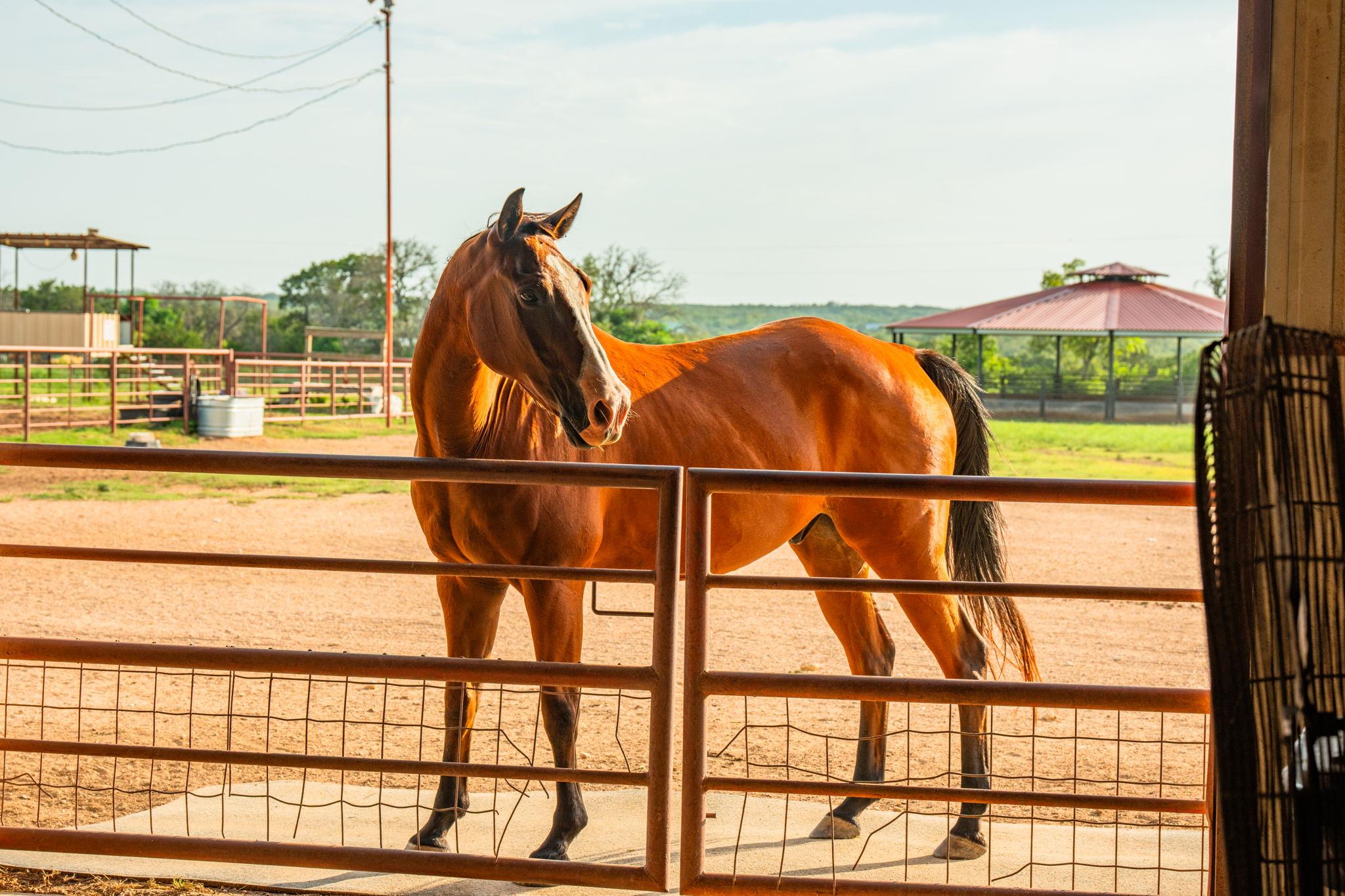 00 County Rd 284, Liberty Hill, TX 78642