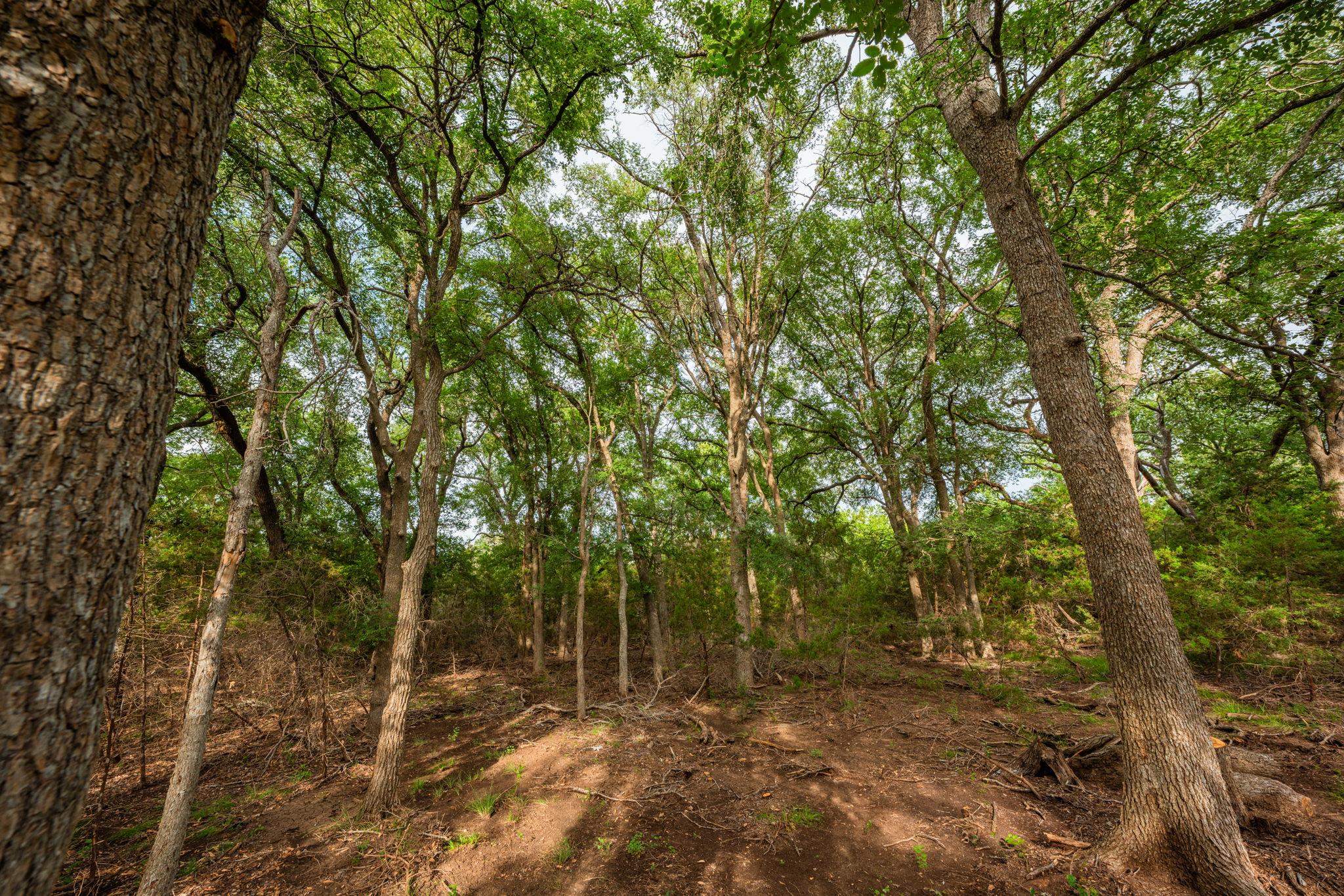 00 County Road 284, Liberty Hill, TX 78642