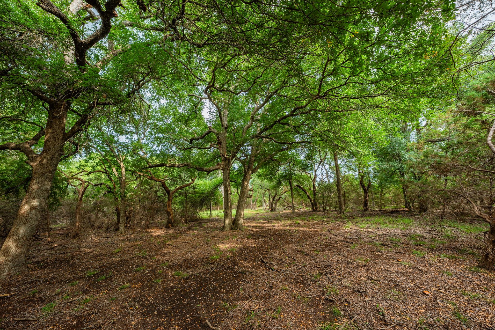 00 County Road 284, Liberty Hill, TX 78642