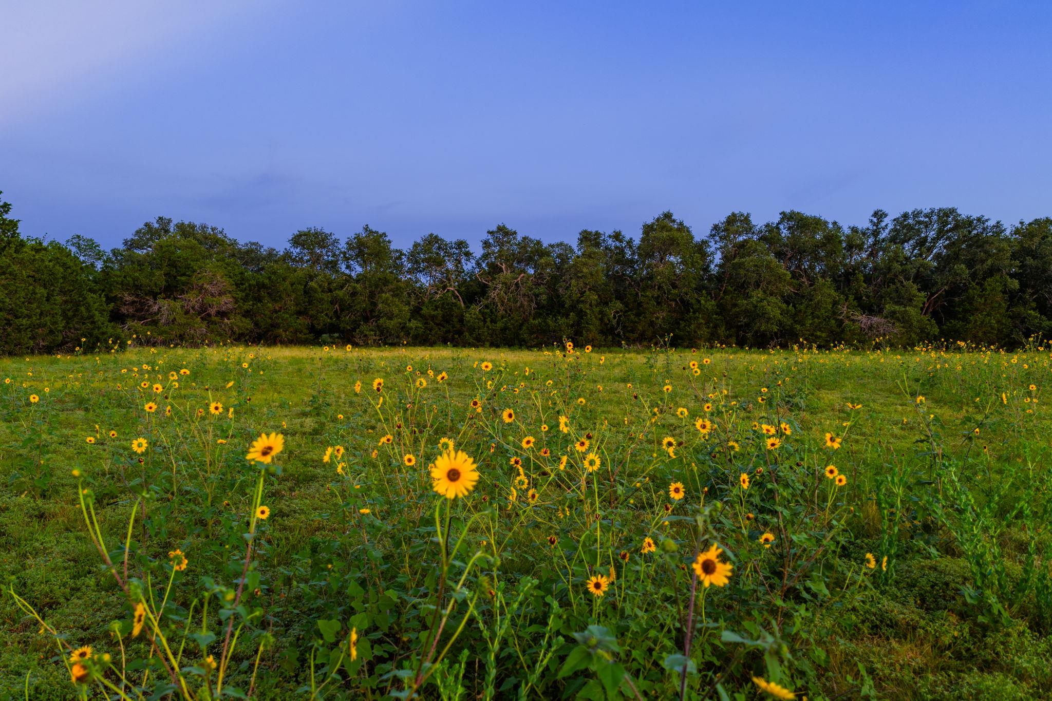 00 County Road 284, Liberty Hill, TX 78642